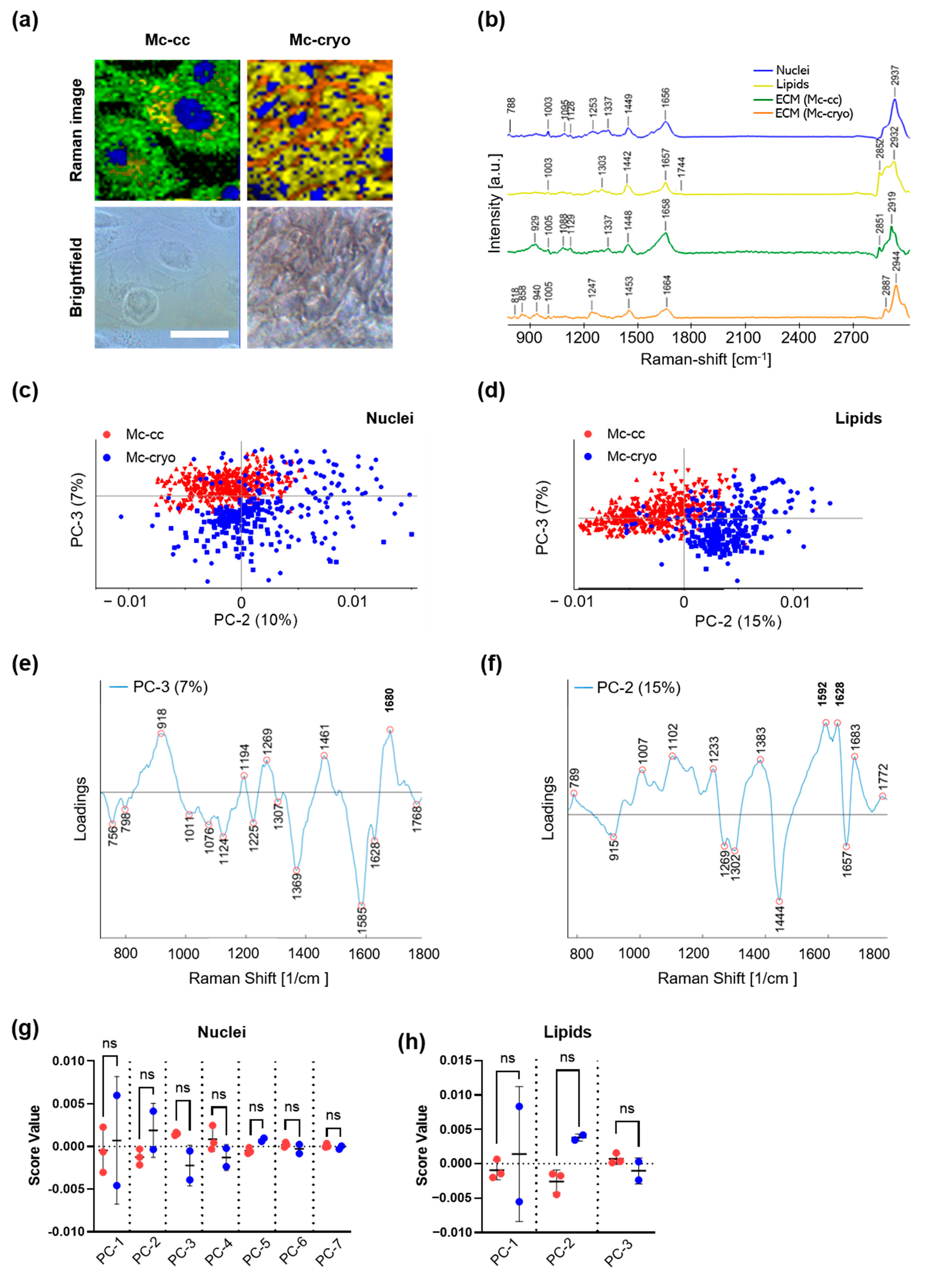 Biomedicines 09 00176 g004