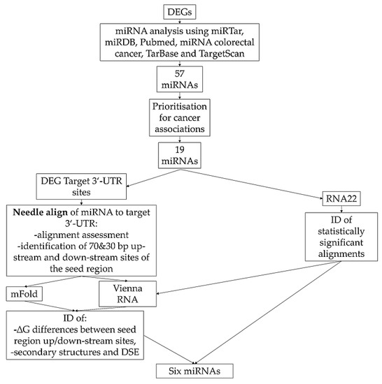 Biomedicines Free Full Text Identification And Validation Of New Cancer Stem Cell Related Genes And Their Regulatory Micrornas In Colorectal Cancerogenesis Html Biomedicines Free Full Text Identification And Validation Of New Cancer Stem Cell Related Genes And Their Regulatory Micrornas In Colorectal Cancerogenesis Html