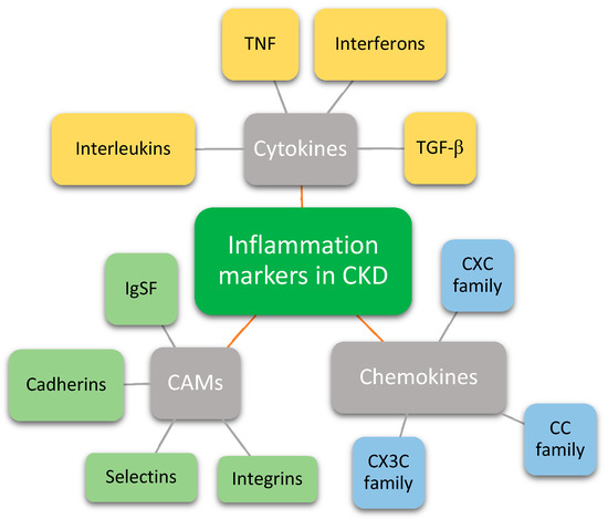 Biomedicines 09 00182 g001 550