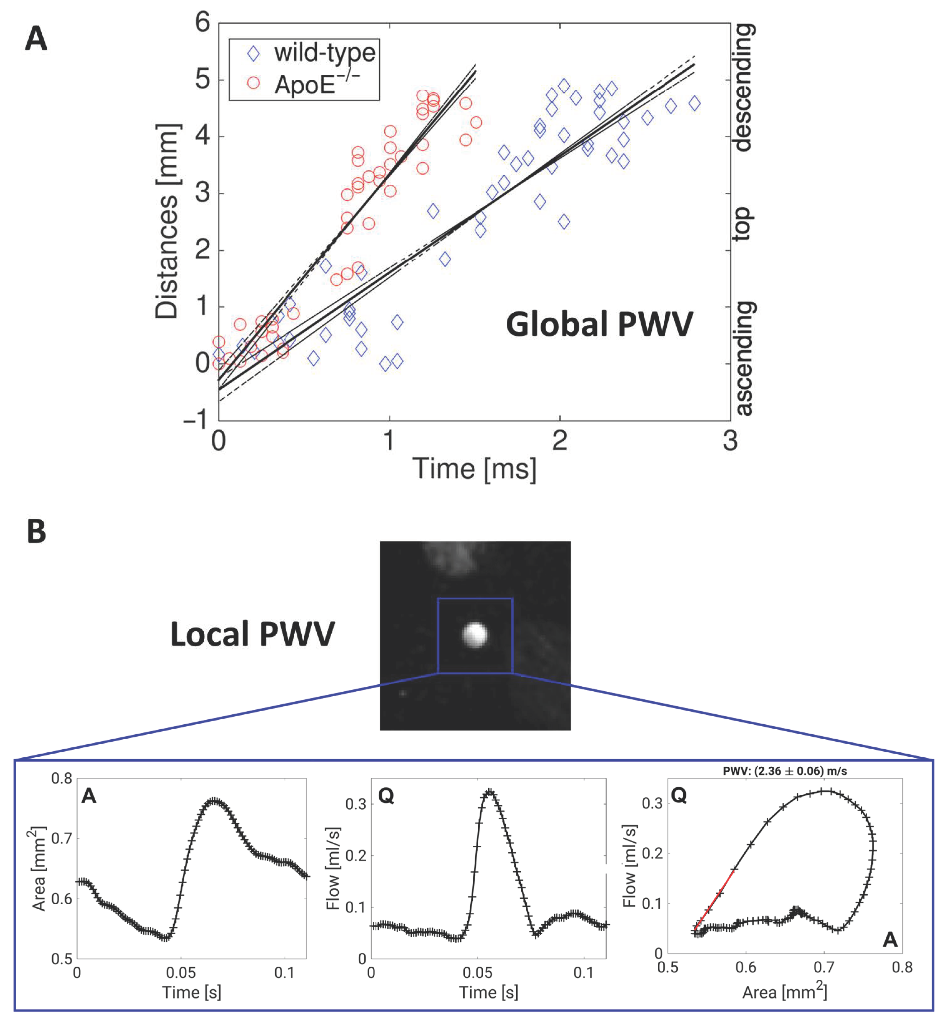 Biomedicines 09 00185 g002 Biomedicines 09 00185 g002