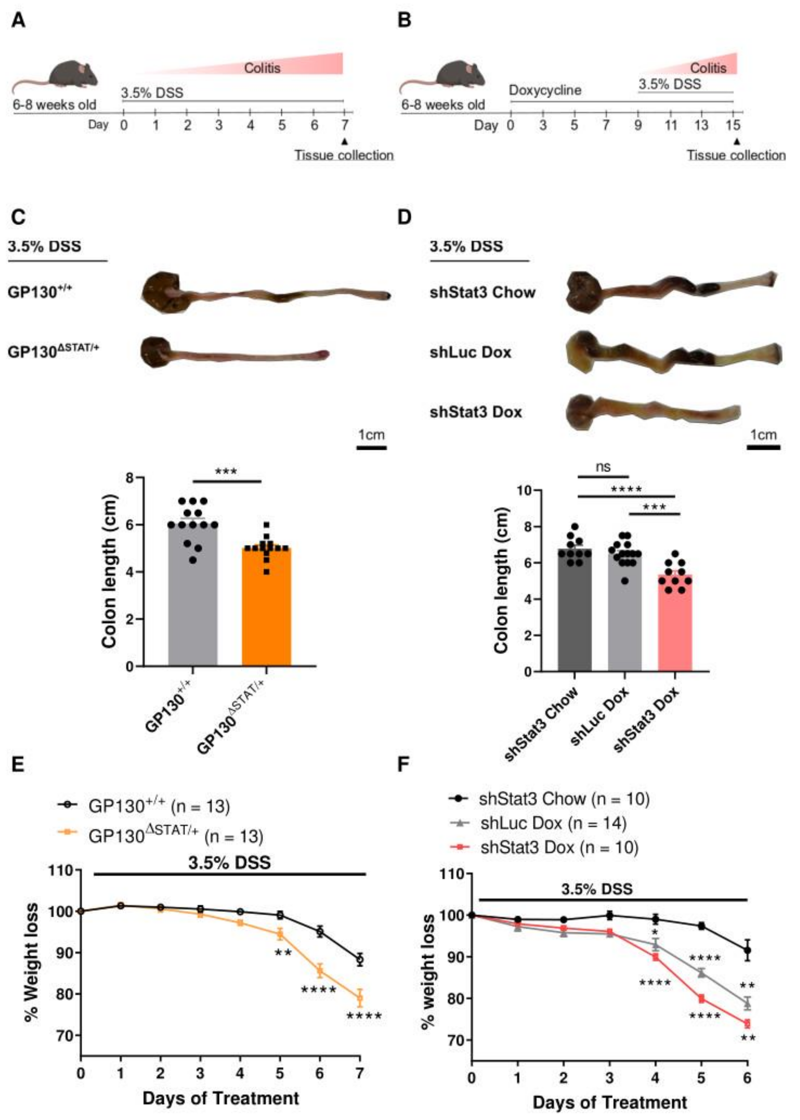 Biomedicines 09 00187 g001 Biomedicines 09 00187 g001