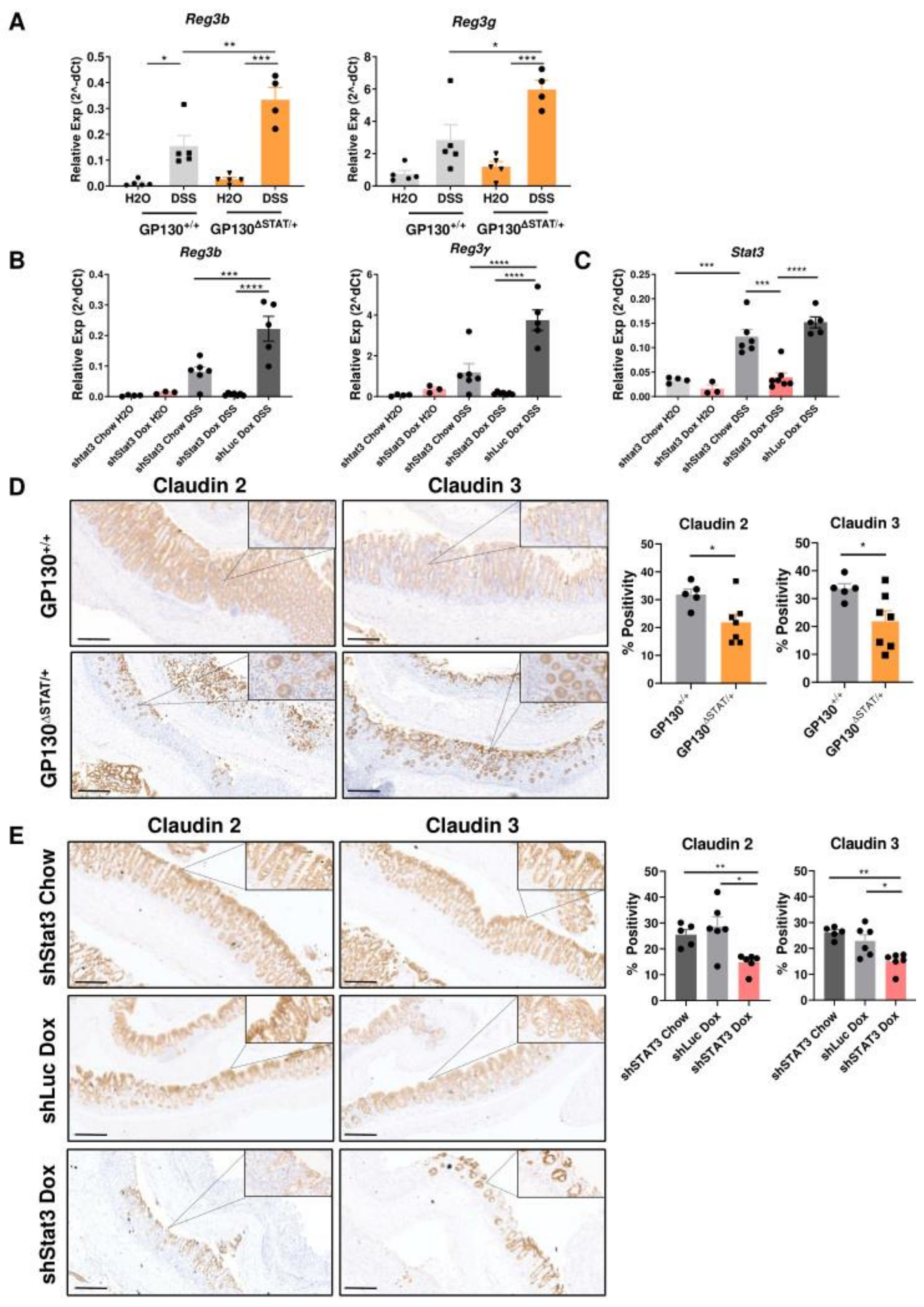 Biomedicines 09 00187 g005 Biomedicines 09 00187 g005