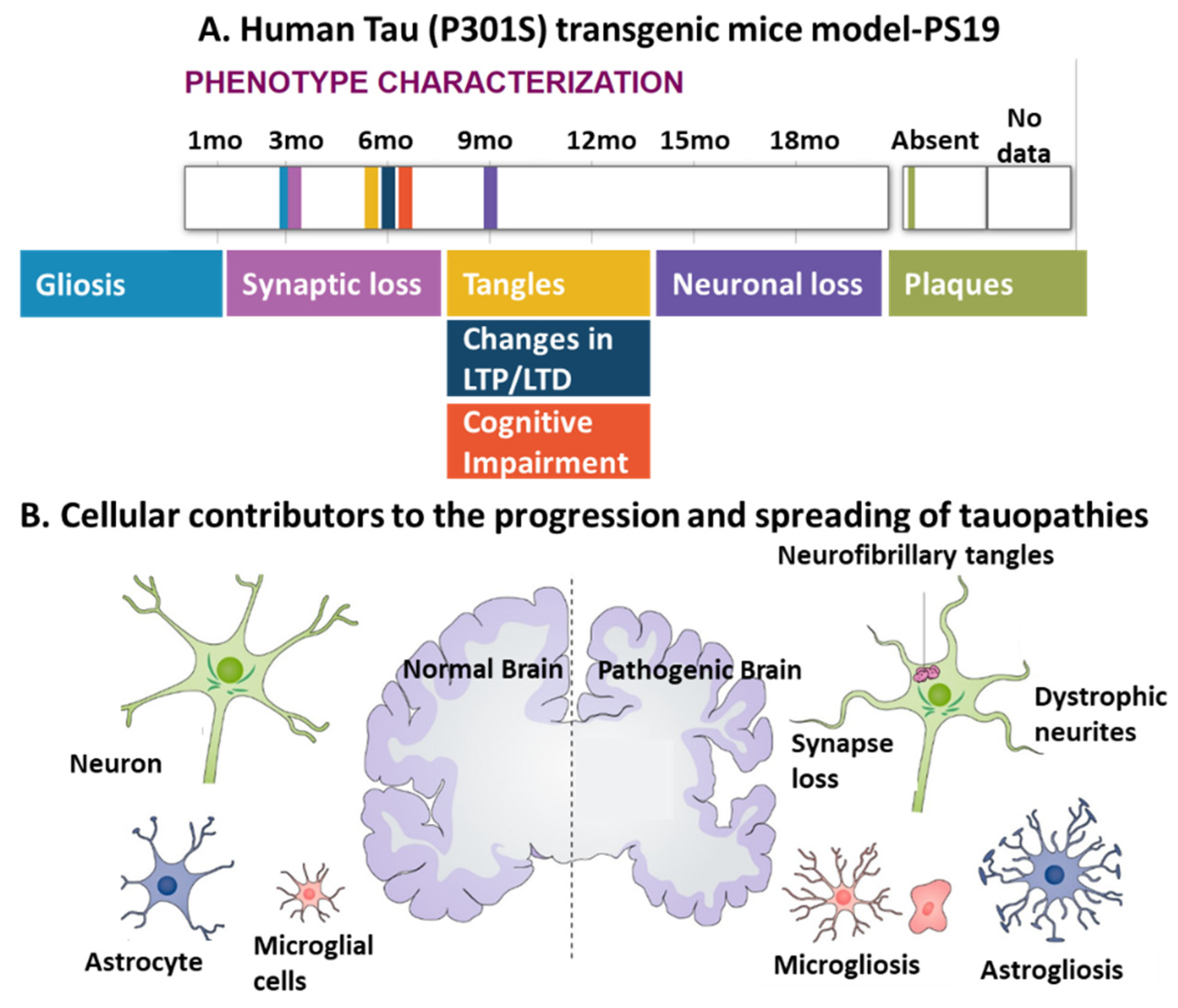 Biomedicines 09 00190 g003
