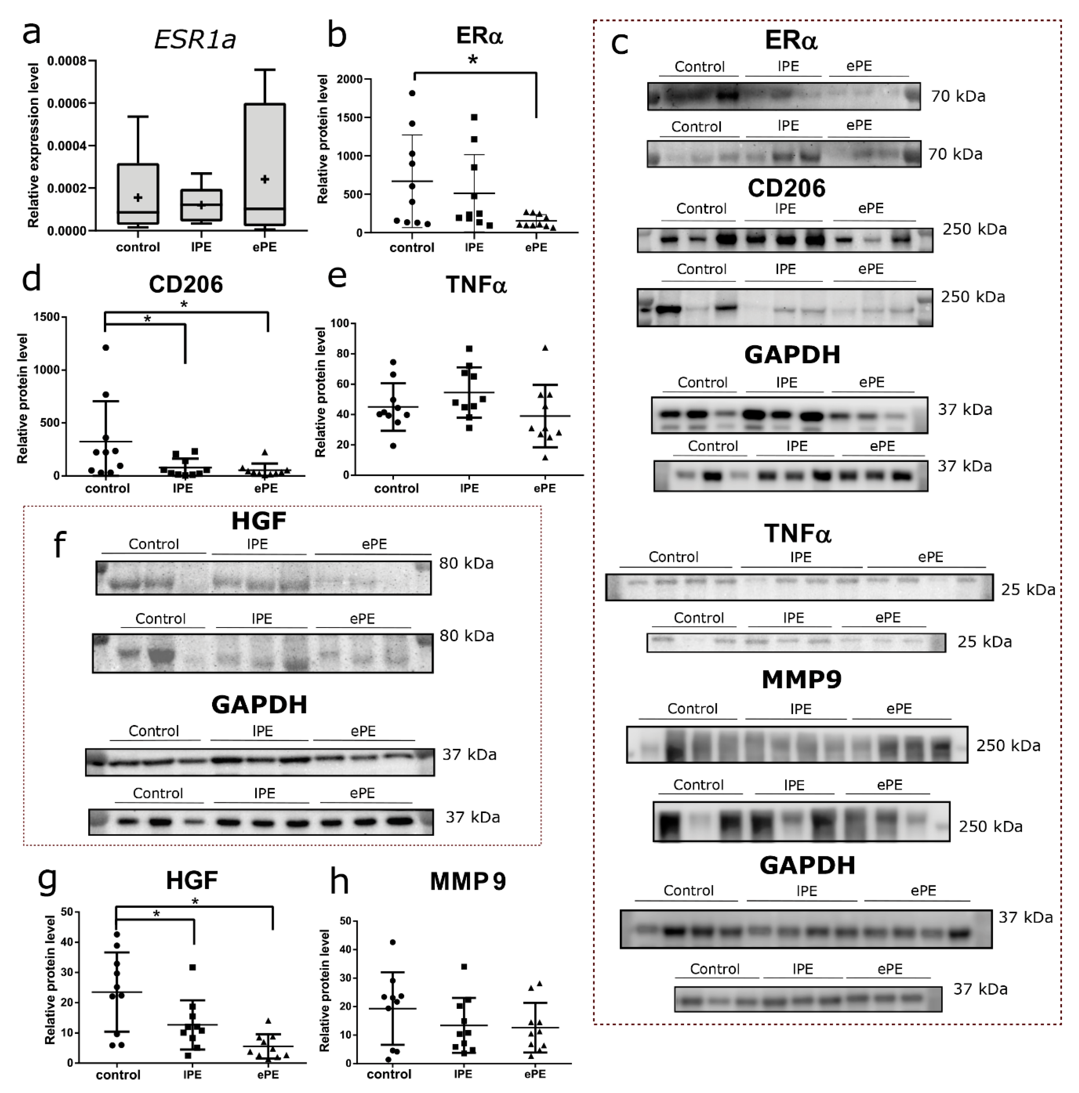 Biomedicines 09 00191 g002 Biomedicines 09 00191 g002