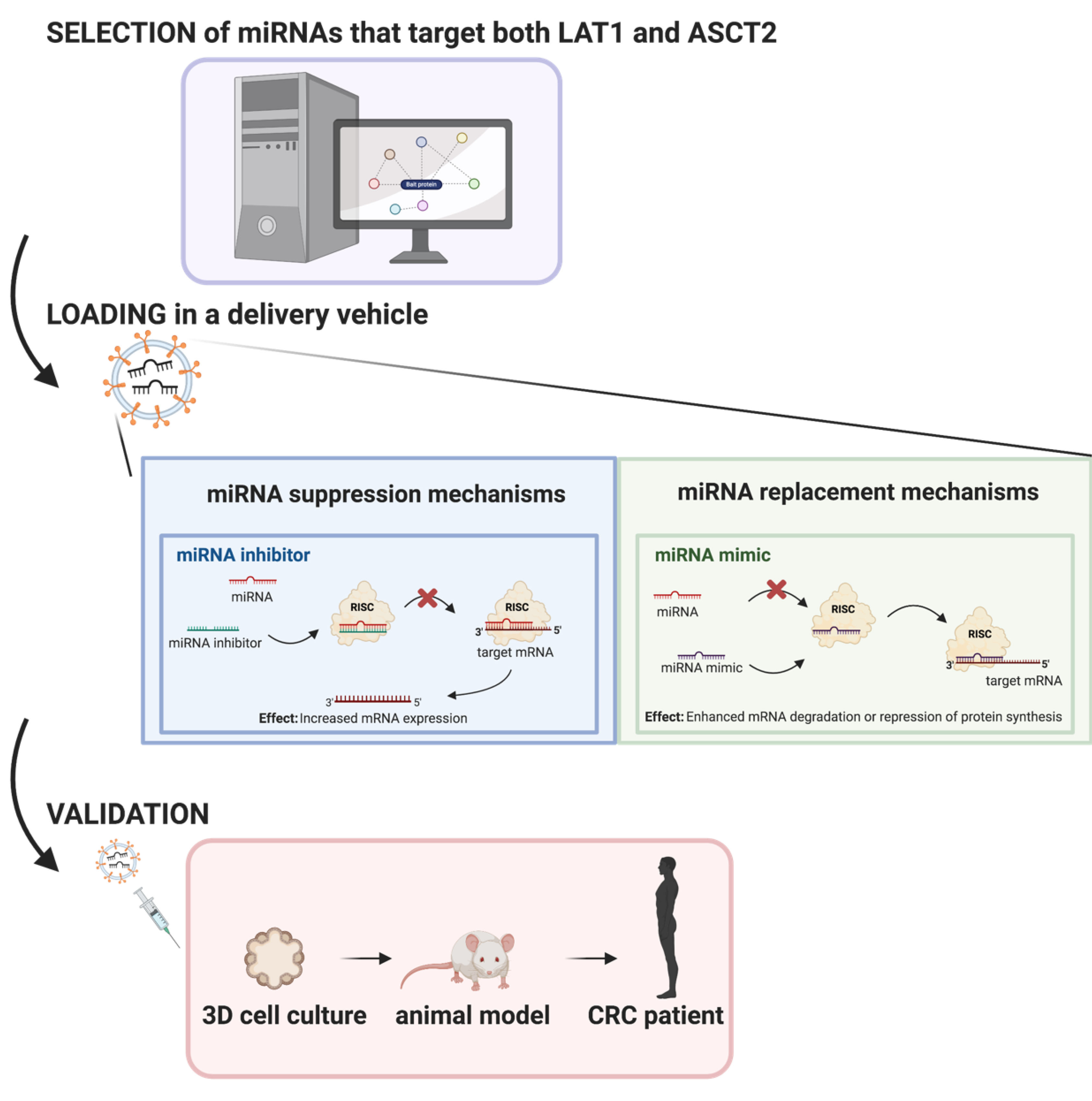 Biomedicines 09 00195 g002