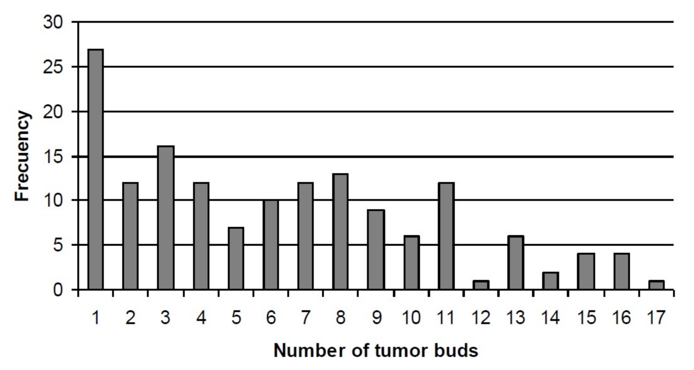 Biomedicines 09 00196 g002