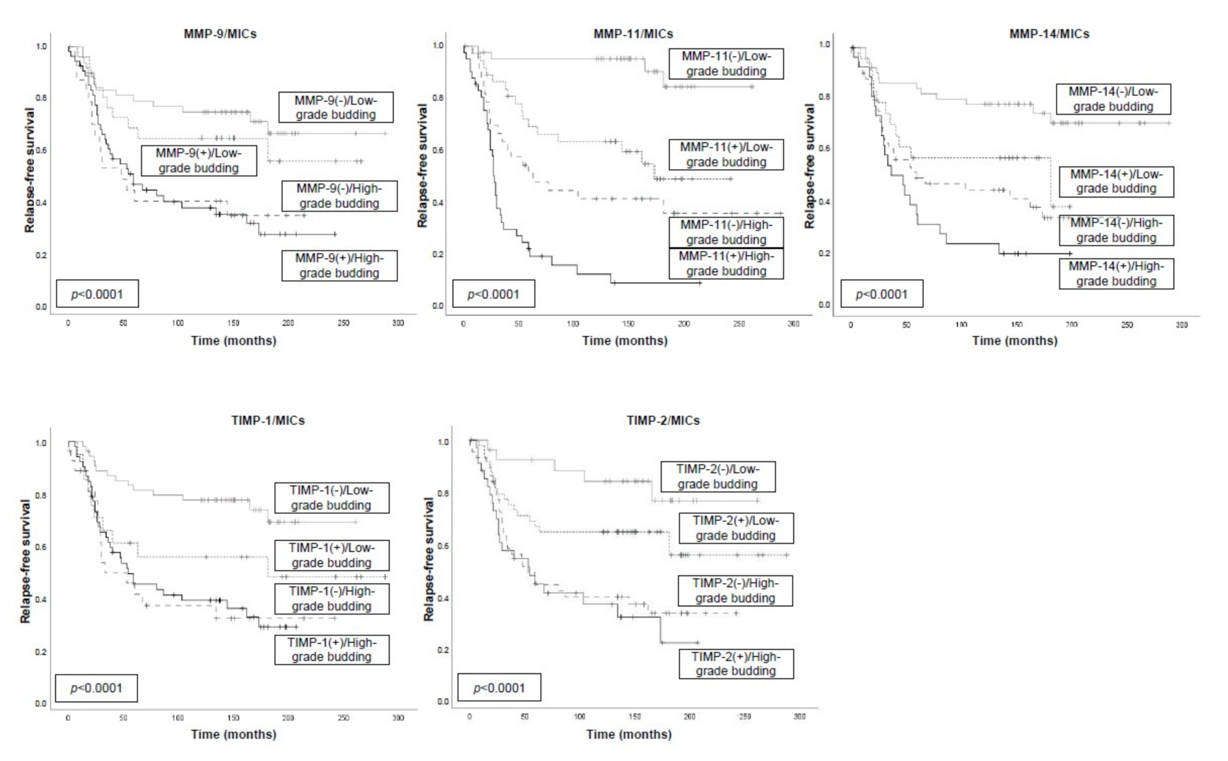 Biomedicines 09 00196 g005