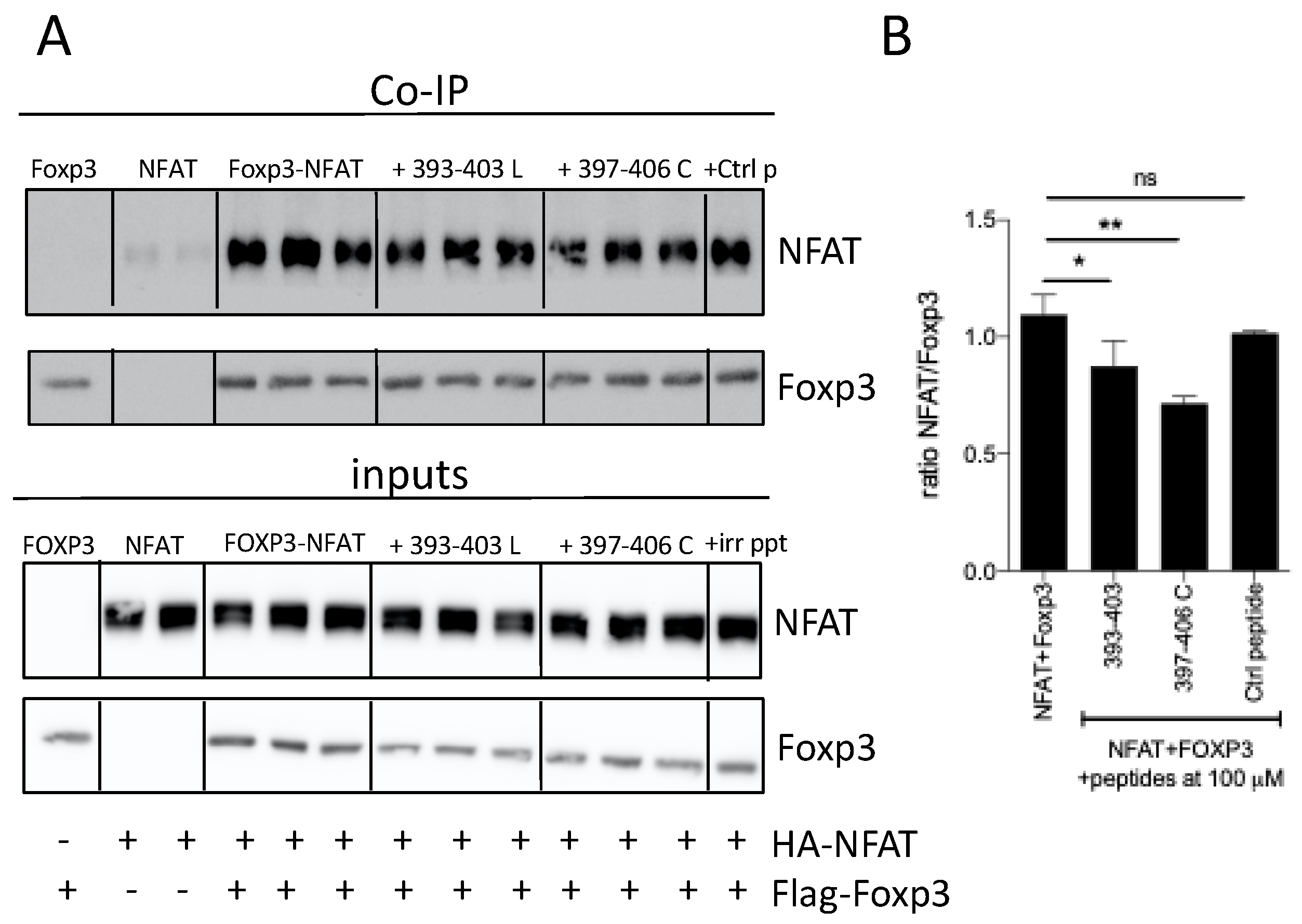 Biomedicines 09 00197 g007 Biomedicines 09 00197 g007