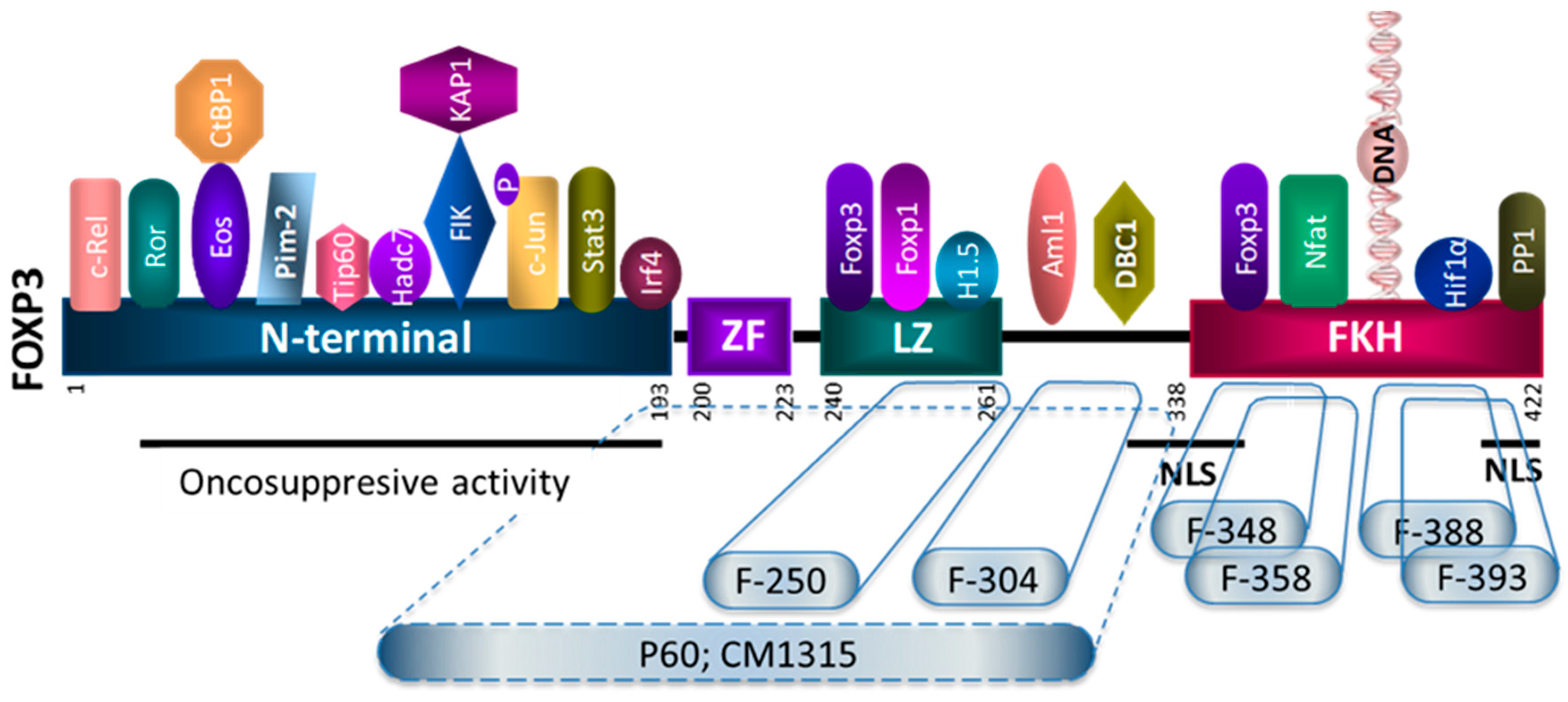 Biomedicines | Free Full-Text | Searching for Peptide Inhibitors