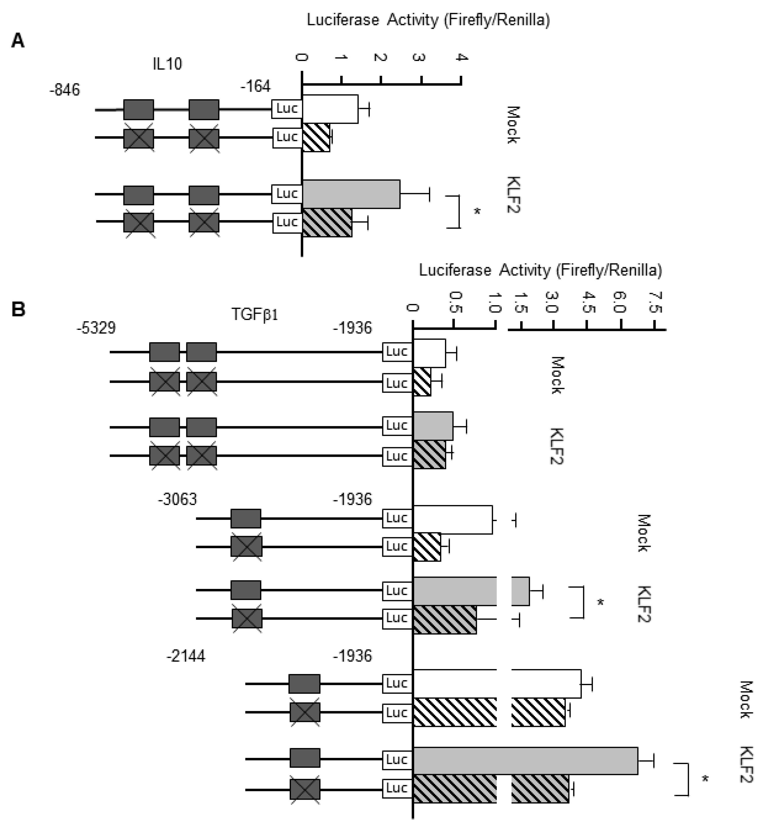 Biomedicines 09 00199 g005