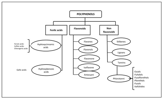 Biomedicines 09 00200 g001 550