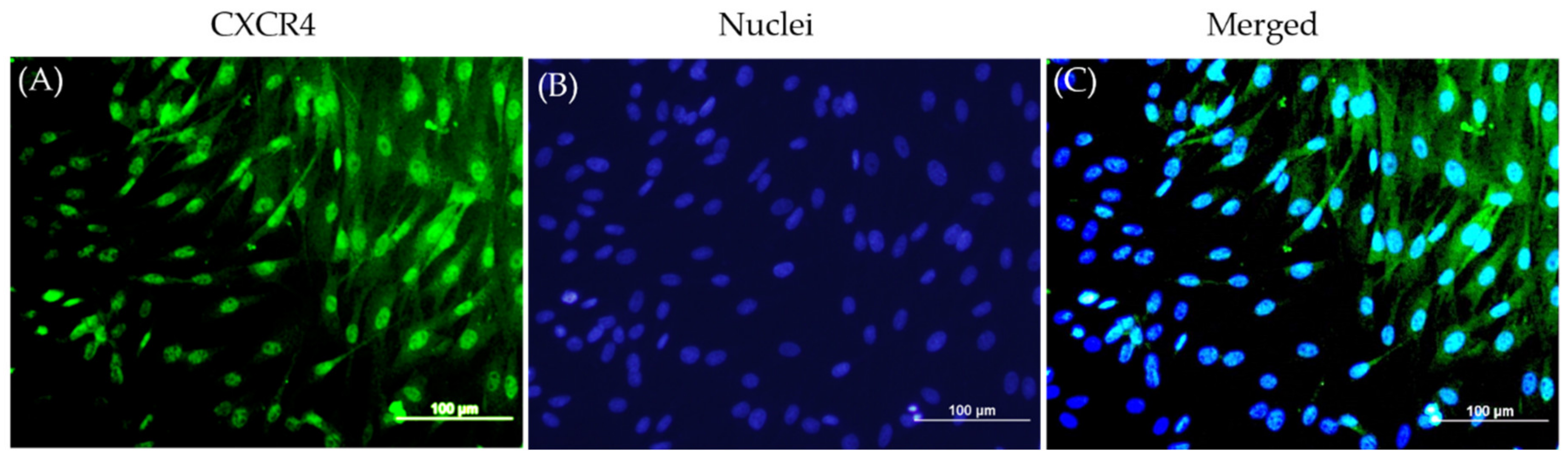 Biomedicines 09 00203 g002