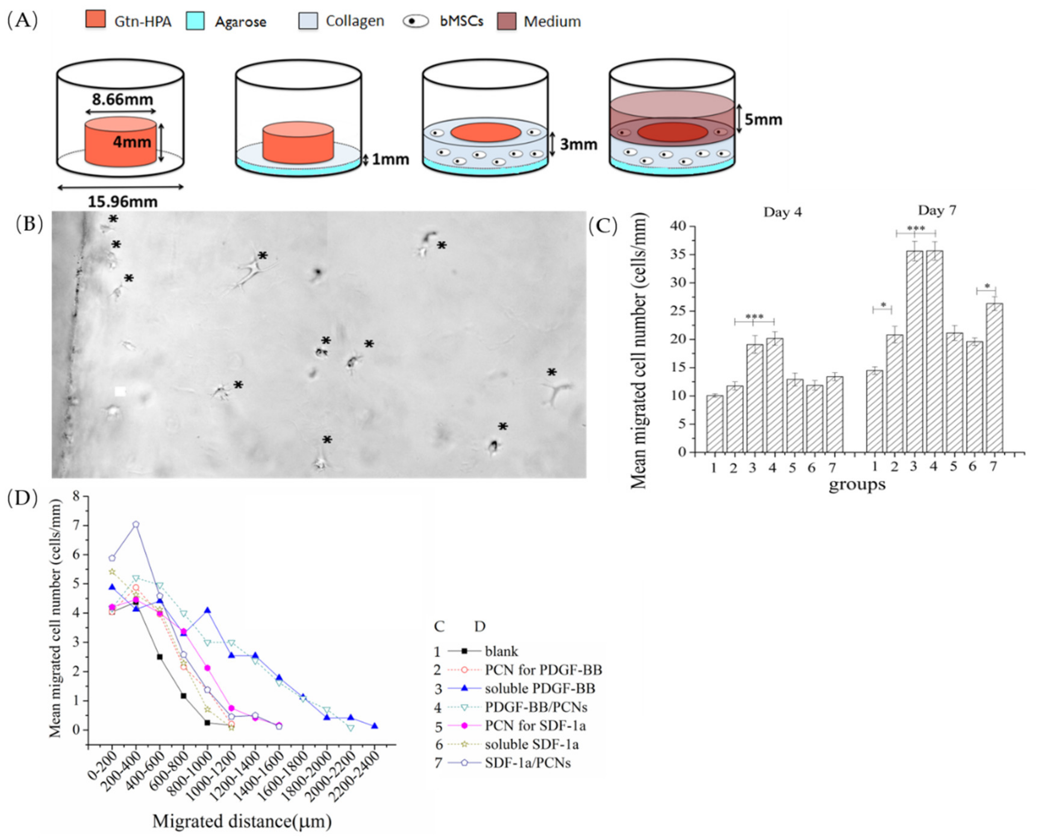 Biomedicines 09 00203 g005