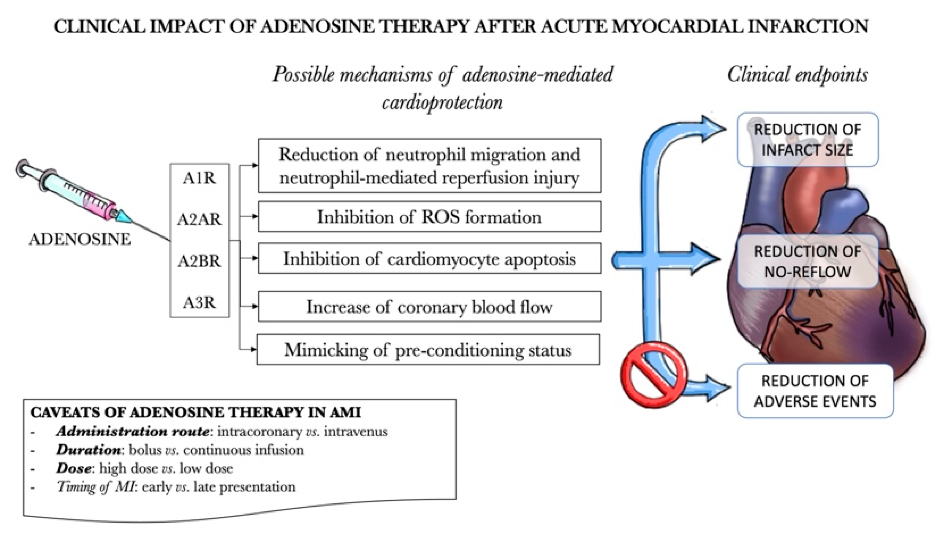 Biomedicines 09 00204 g003 Biomedicines 09 00204 g003