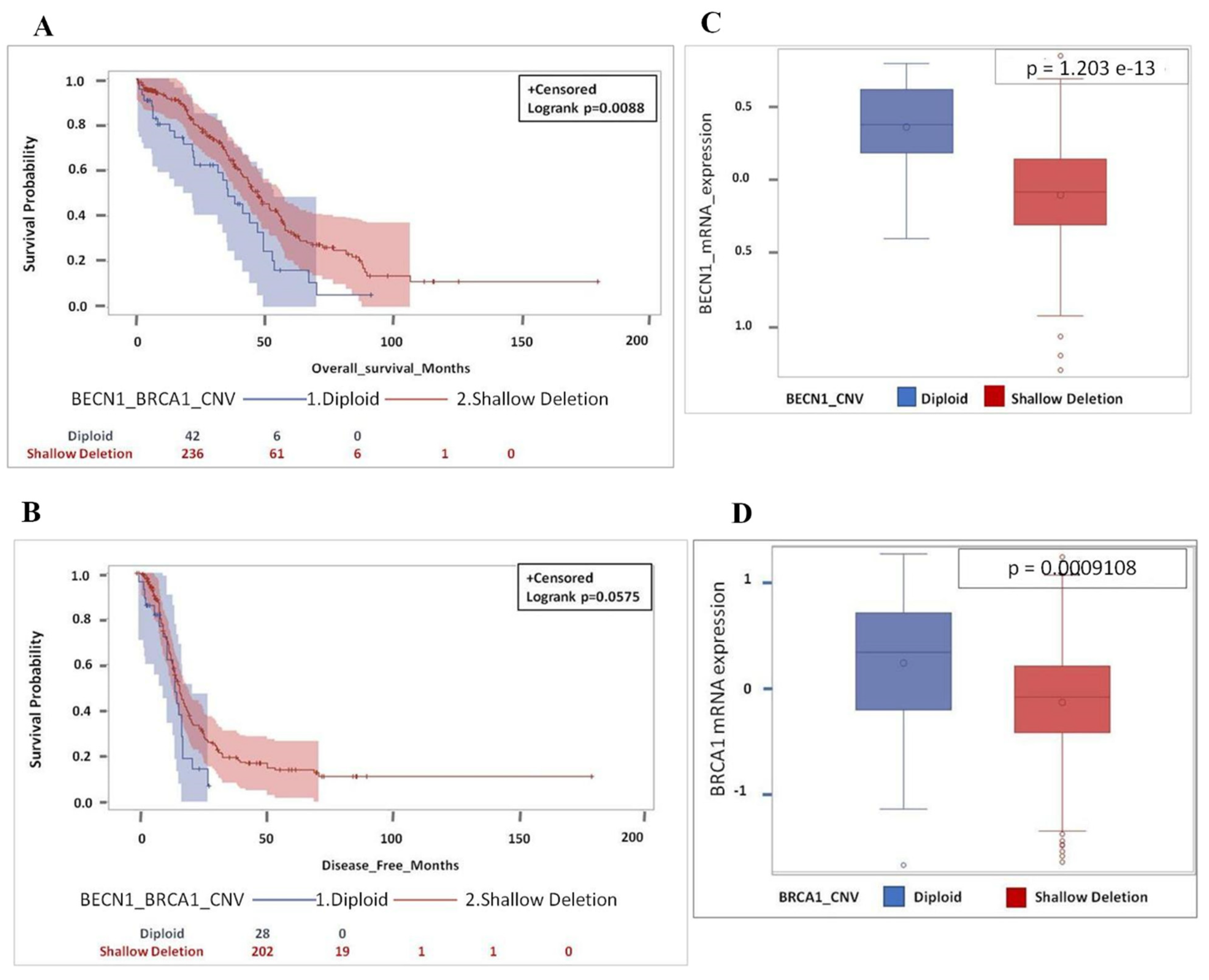 Biomedicines 09 00207 g005 Biomedicines 09 00207 g005
