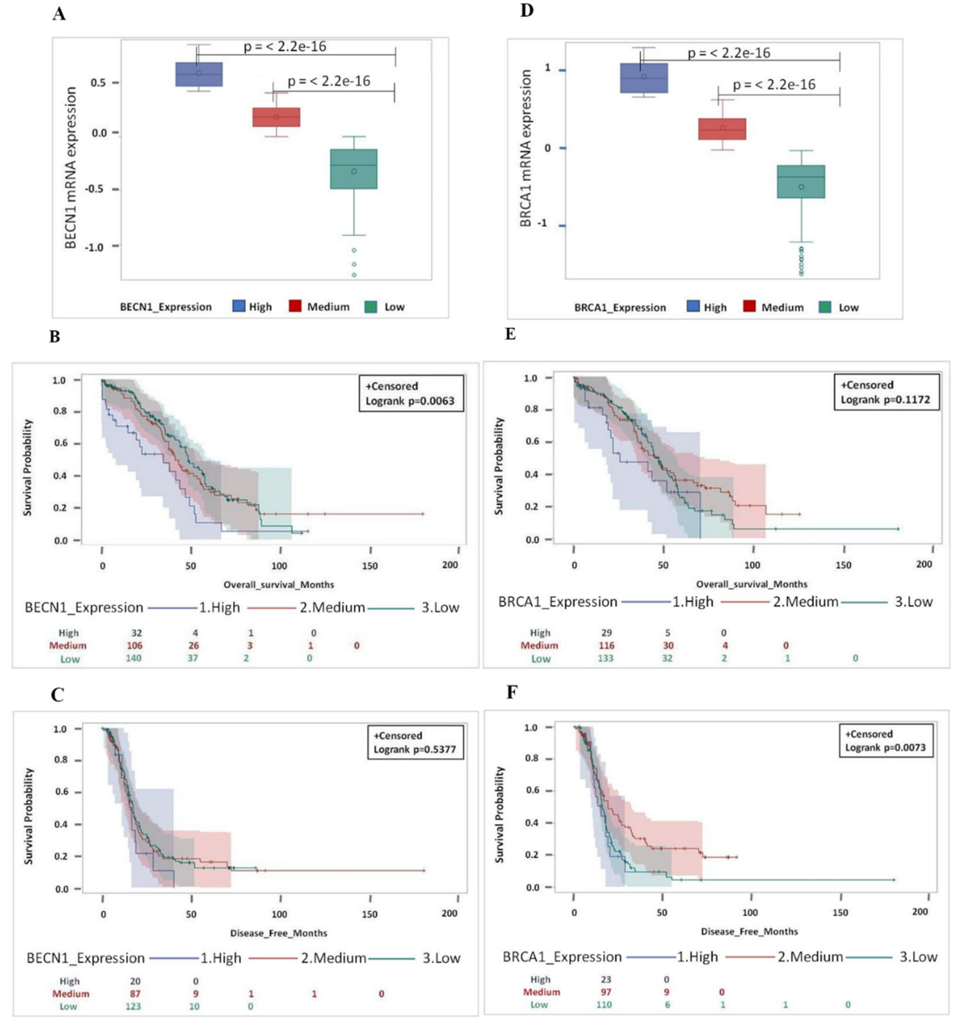 Biomedicines 09 00207 g006 Biomedicines 09 00207 g006