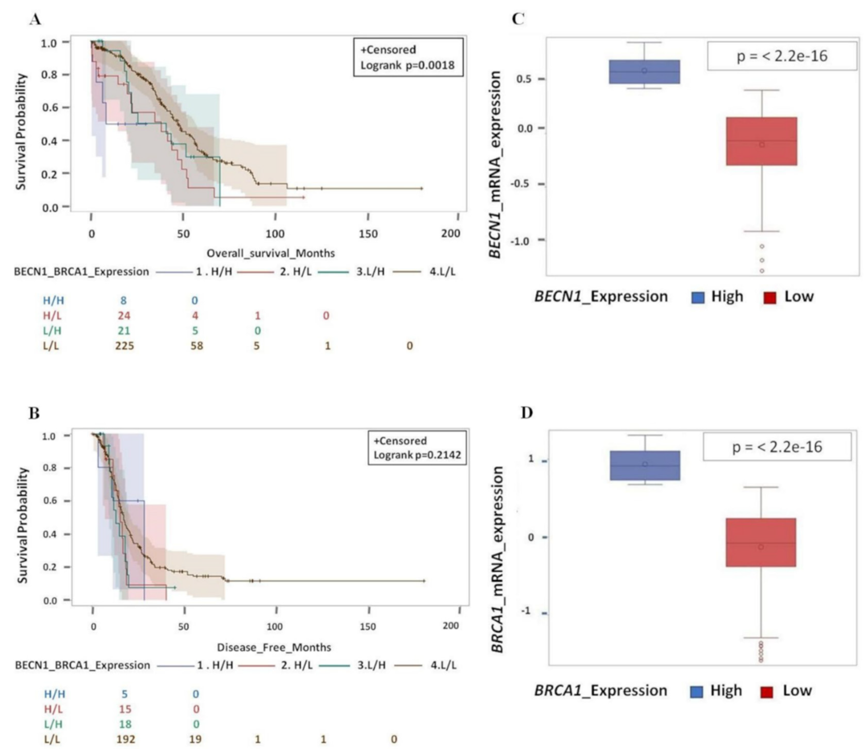 Biomedicines 09 00207 g007 Biomedicines 09 00207 g007