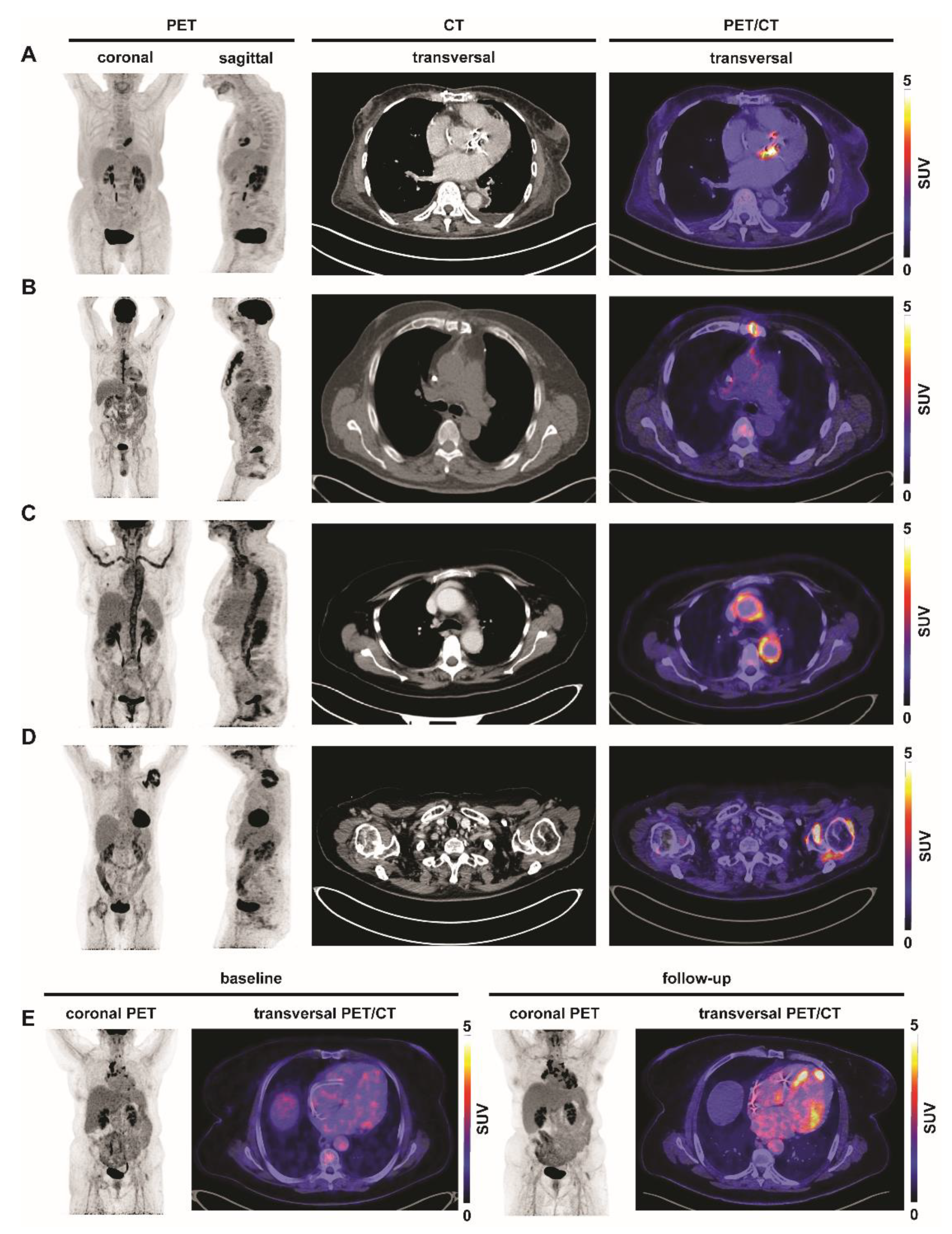 Biomedicines 09 00212 g001