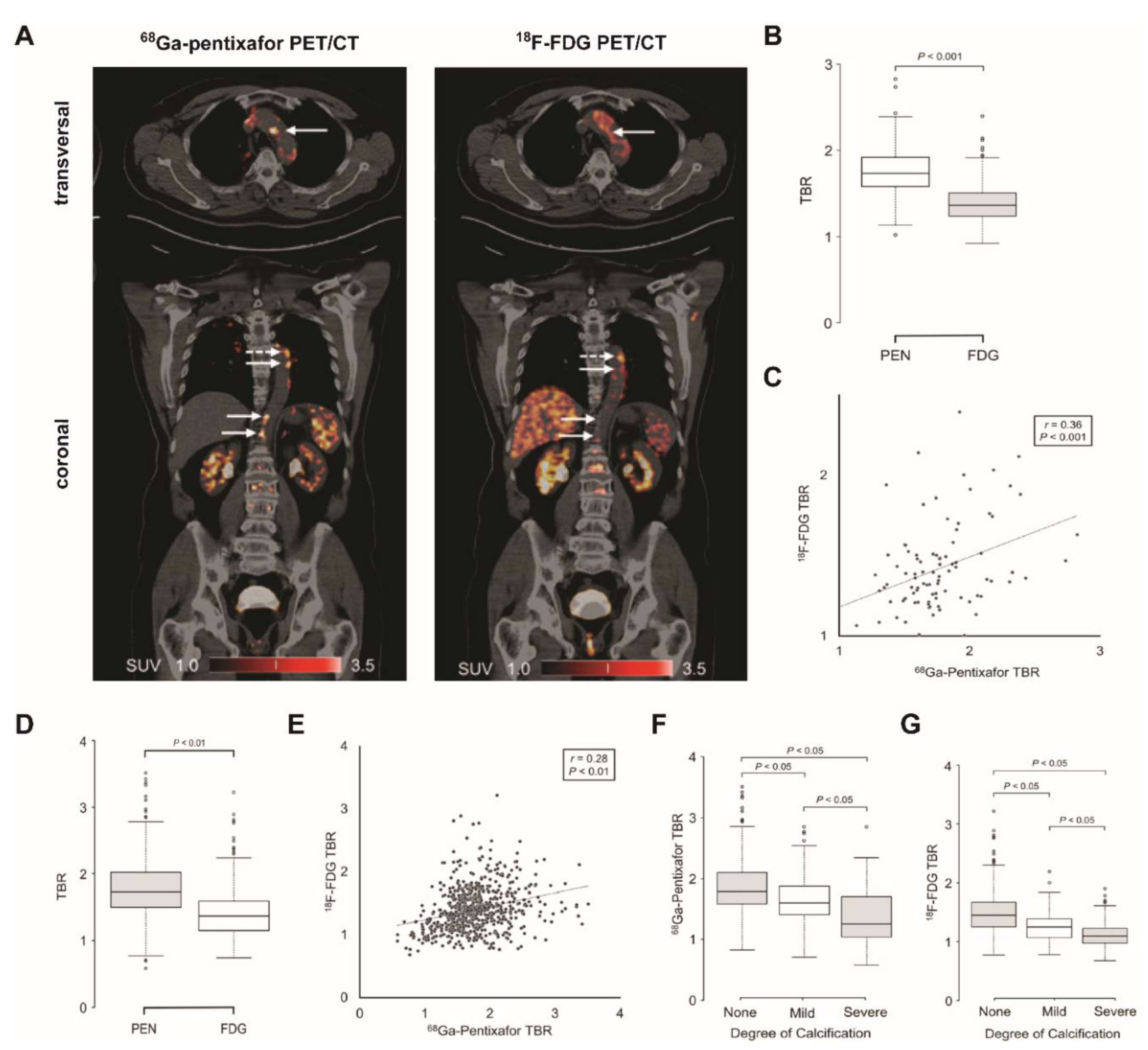 Biomedicines 09 00212 g002