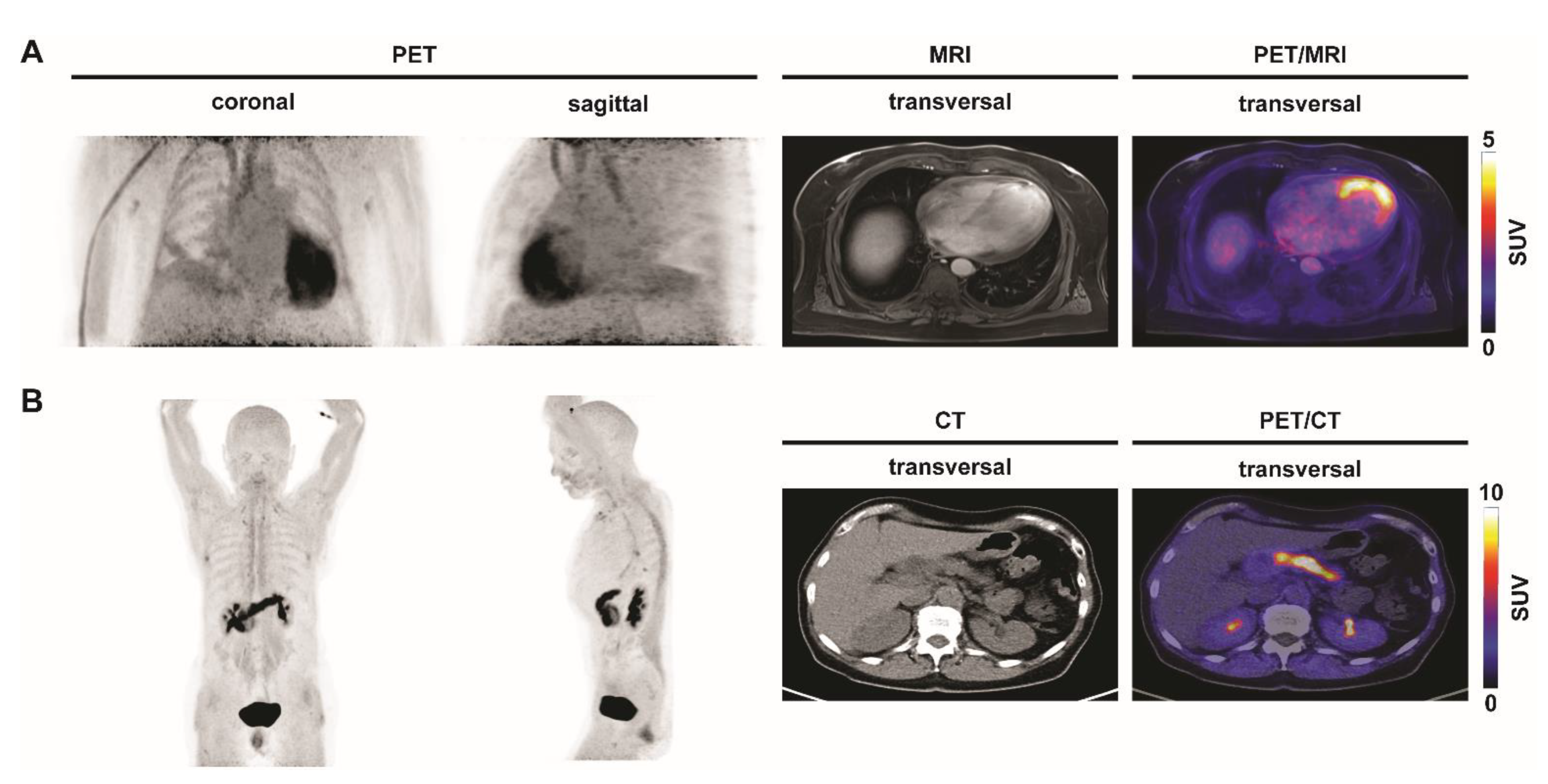 Biomedicines 09 00212 g003
