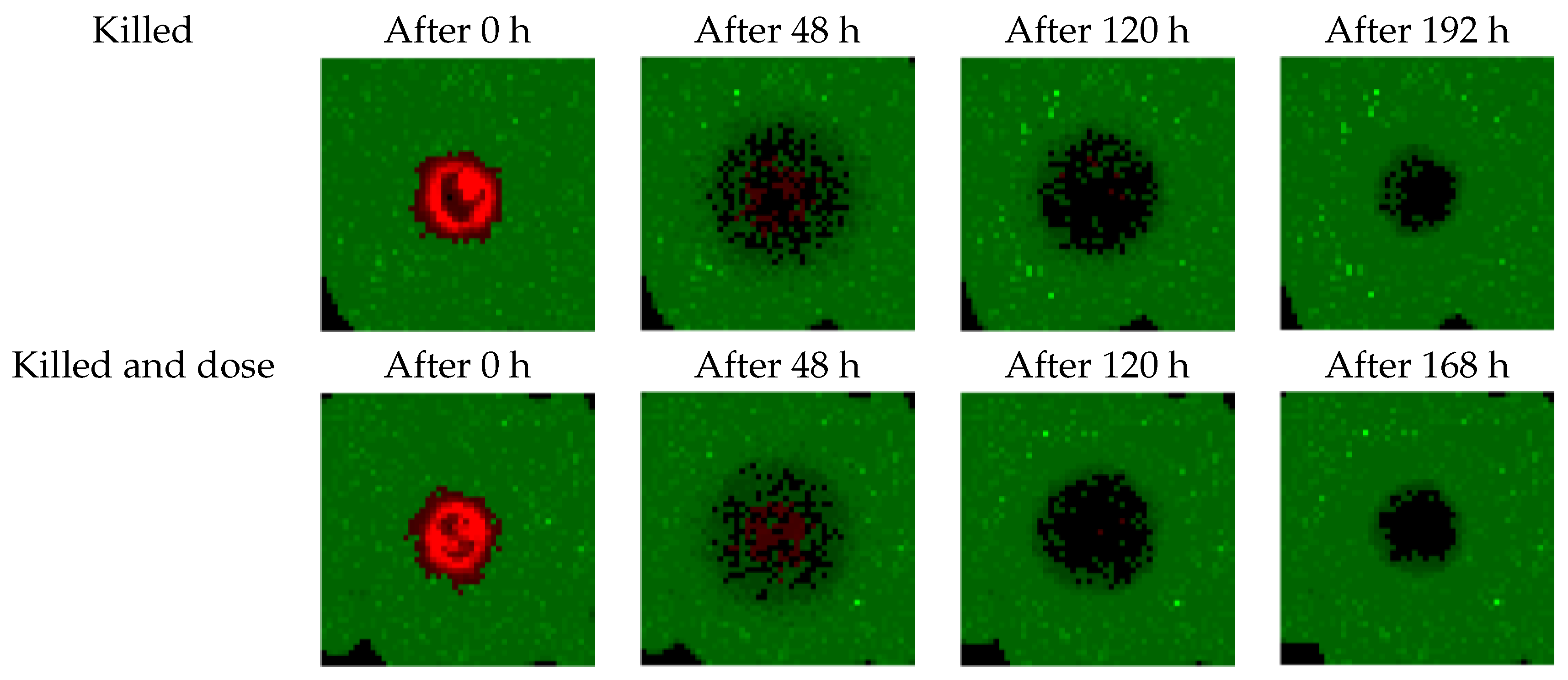 Biomedicines 09 00214 g005