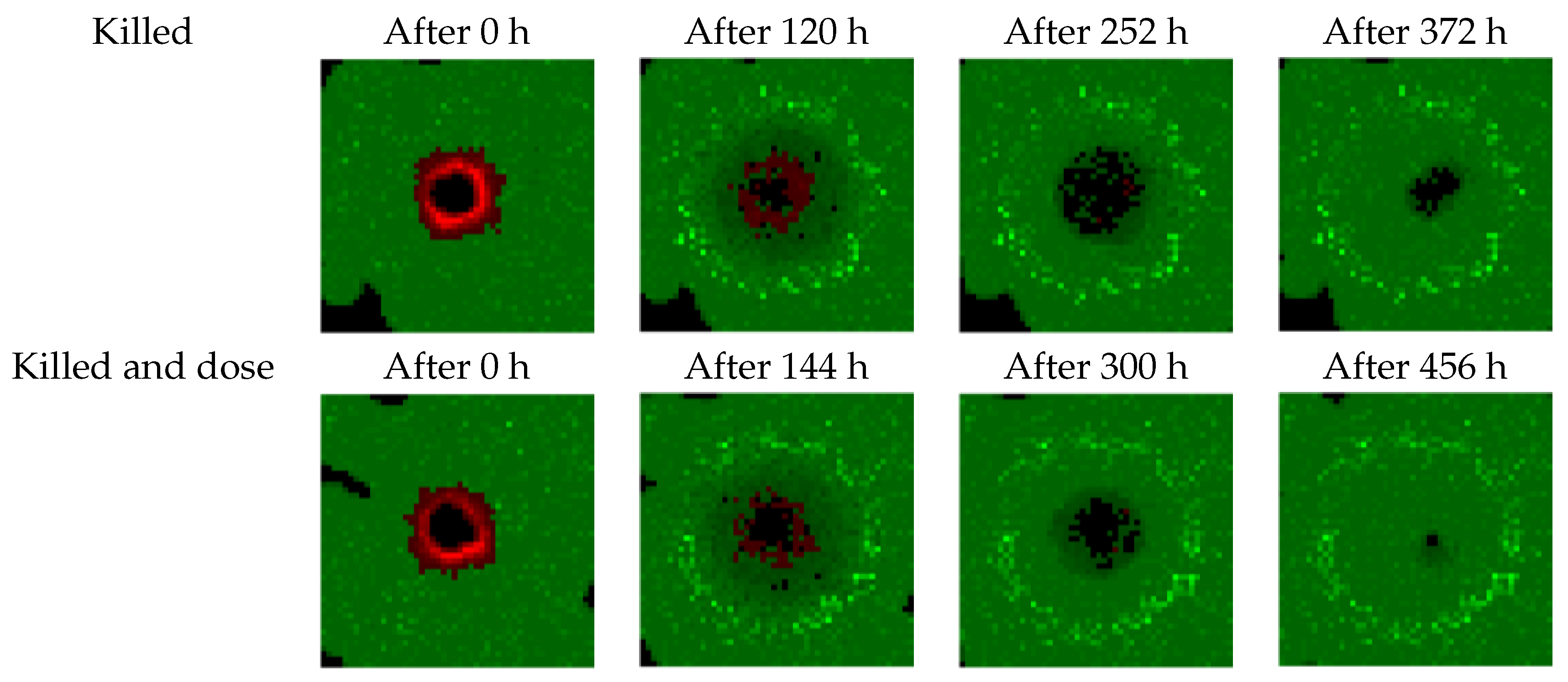 Biomedicines 09 00214 g006