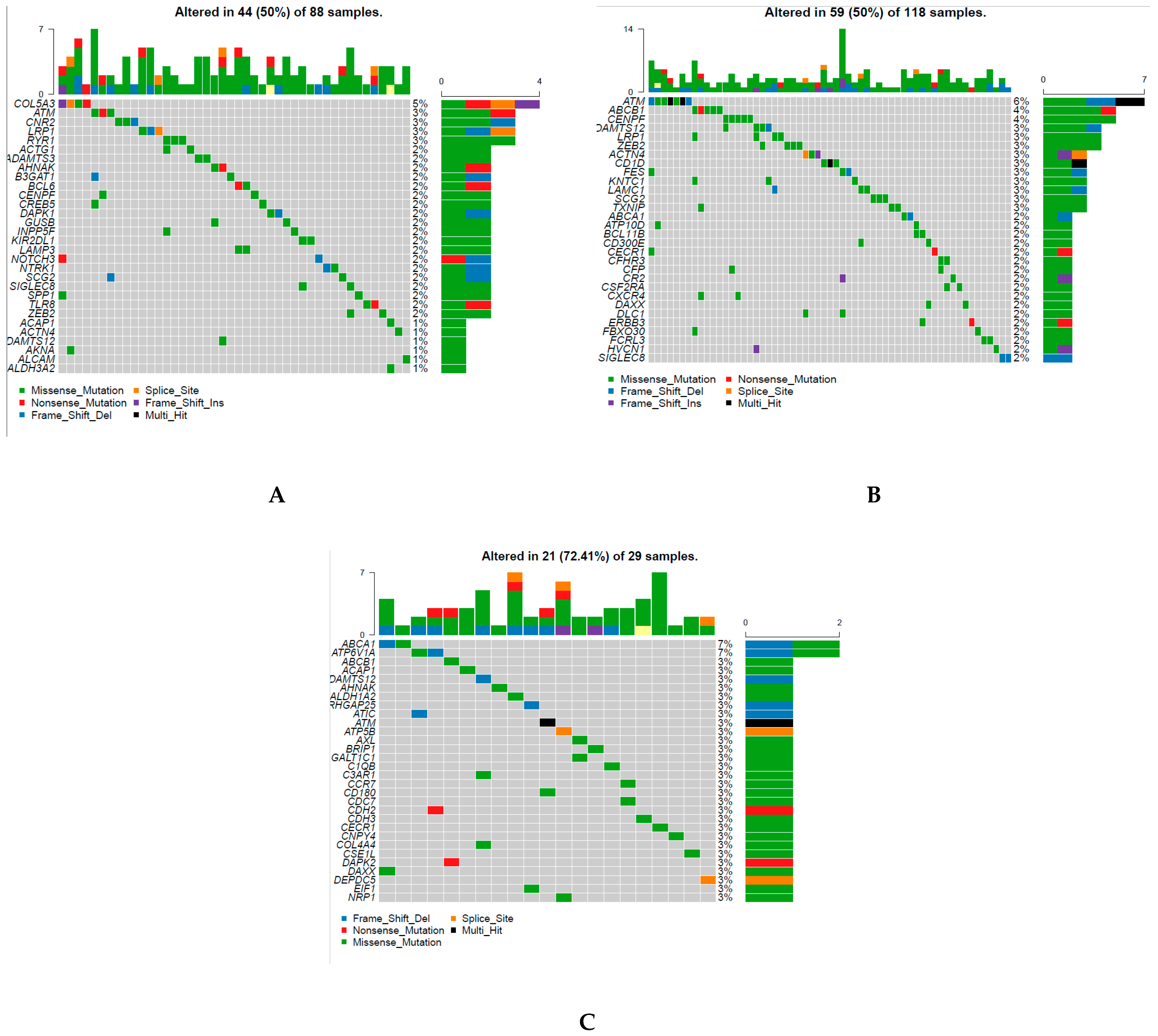 Biomedicines 09 00215 g008a Biomedicines 09 00215 g008a
