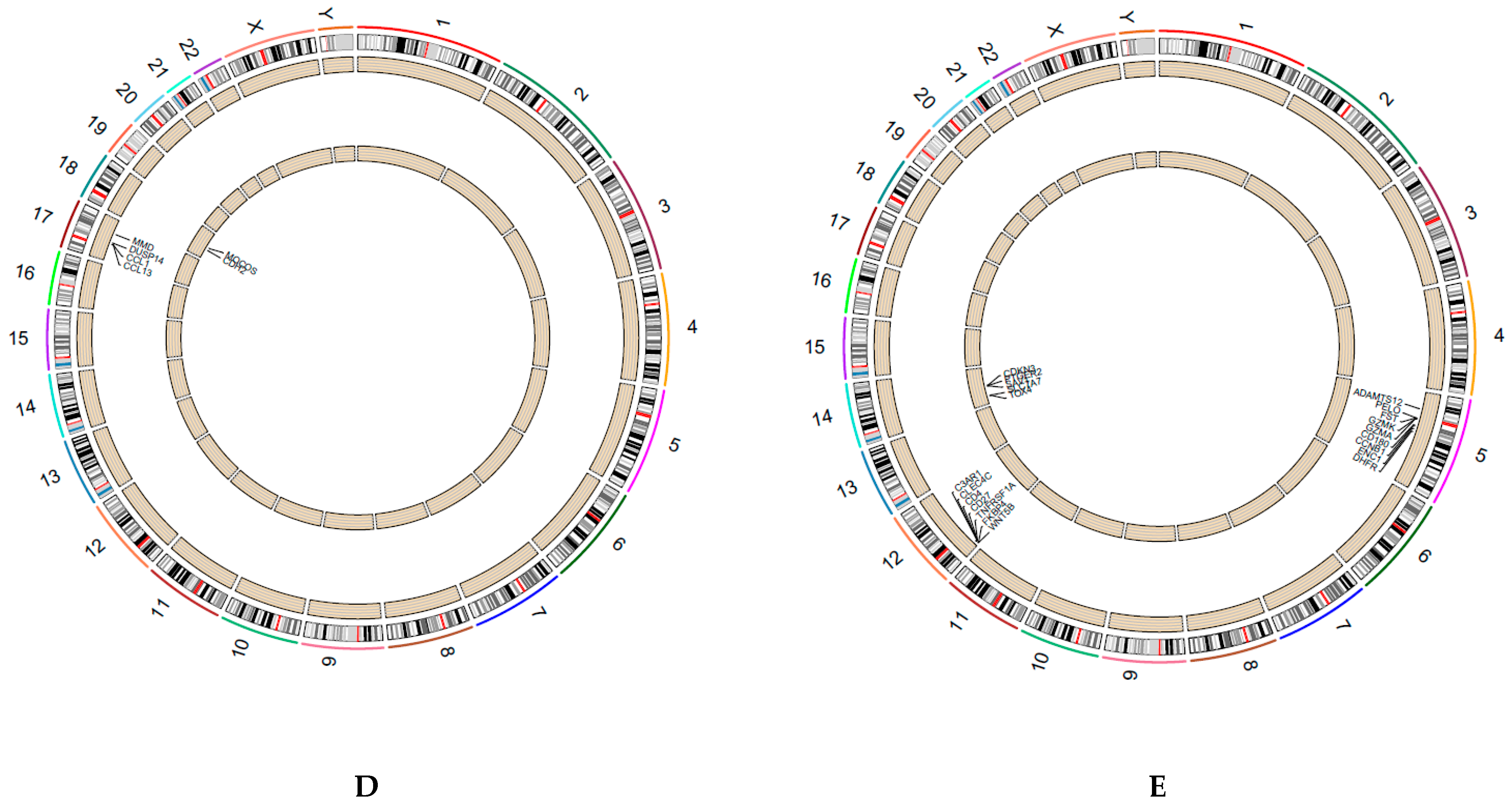 Biomedicines 09 00215 g008b Biomedicines 09 00215 g008b