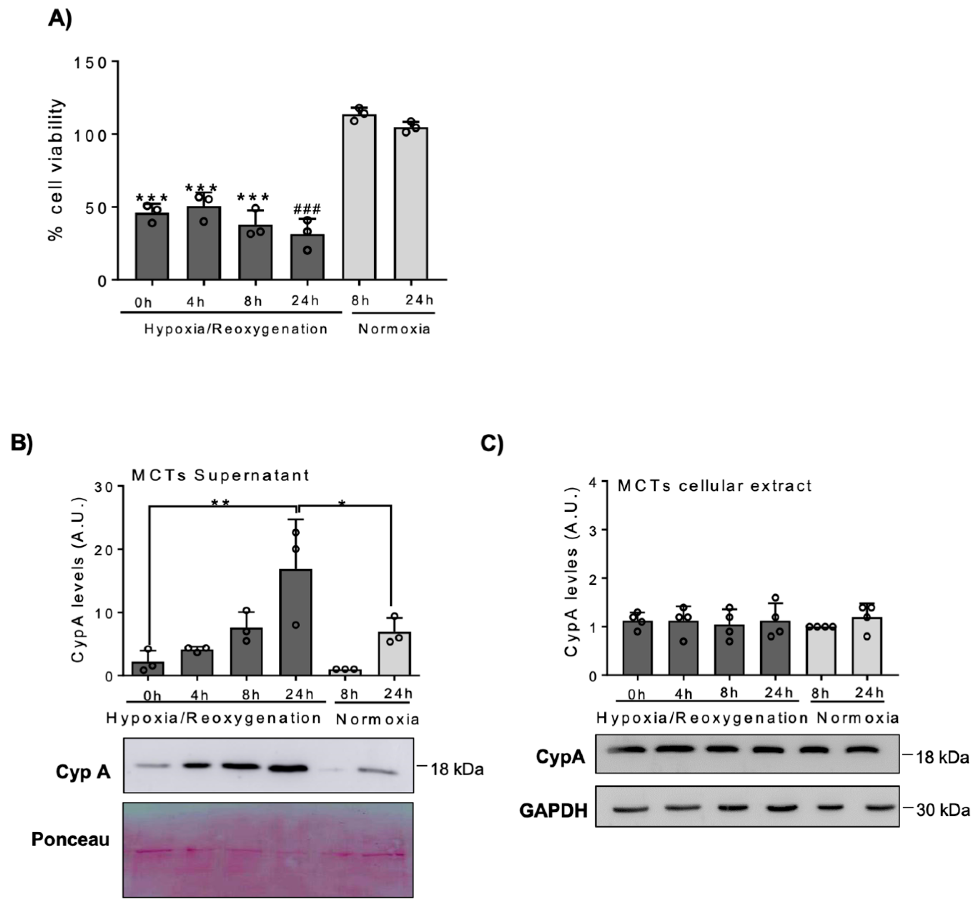 Biomedicines 09 00217 g002