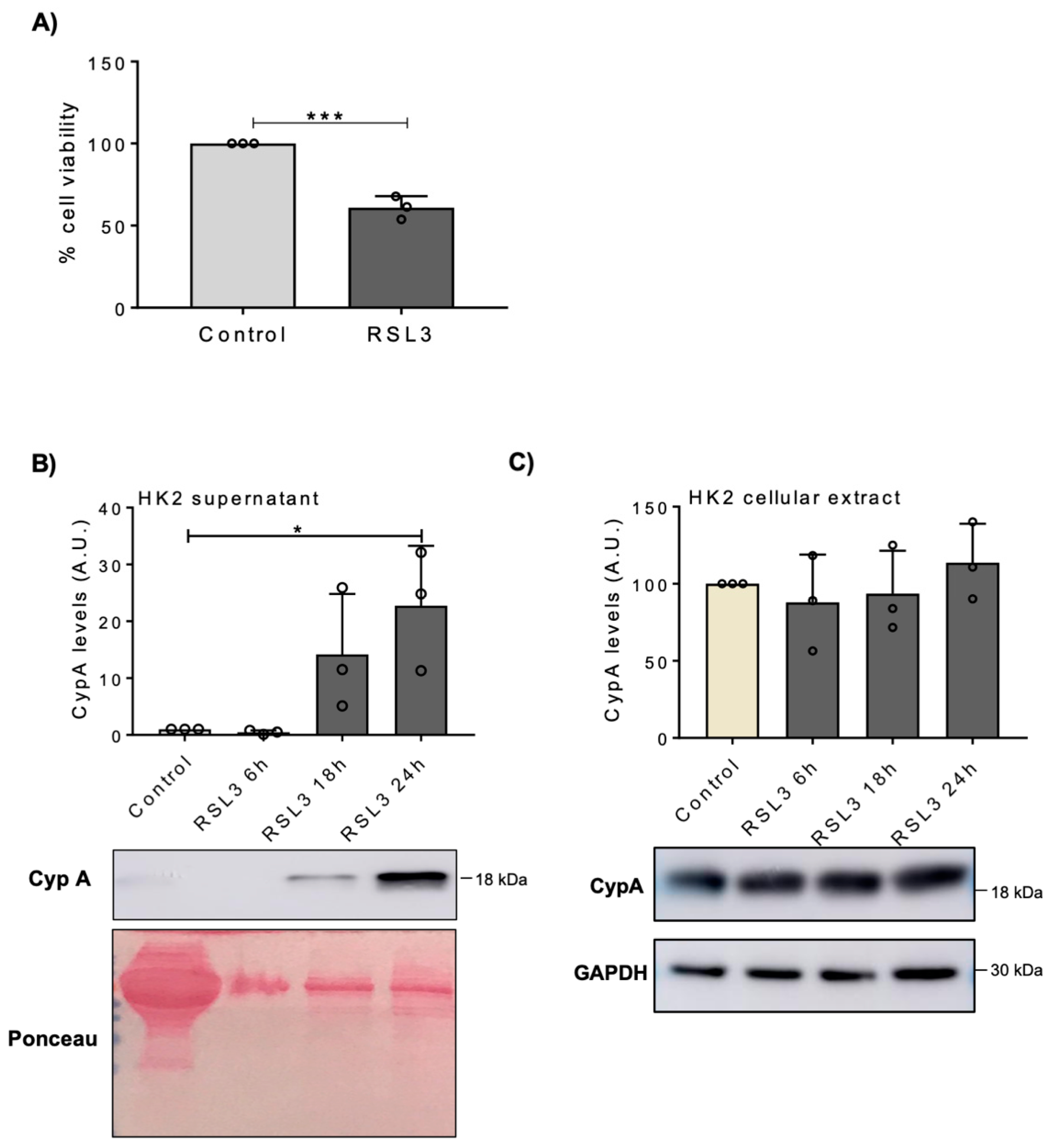 Biomedicines 09 00217 g003