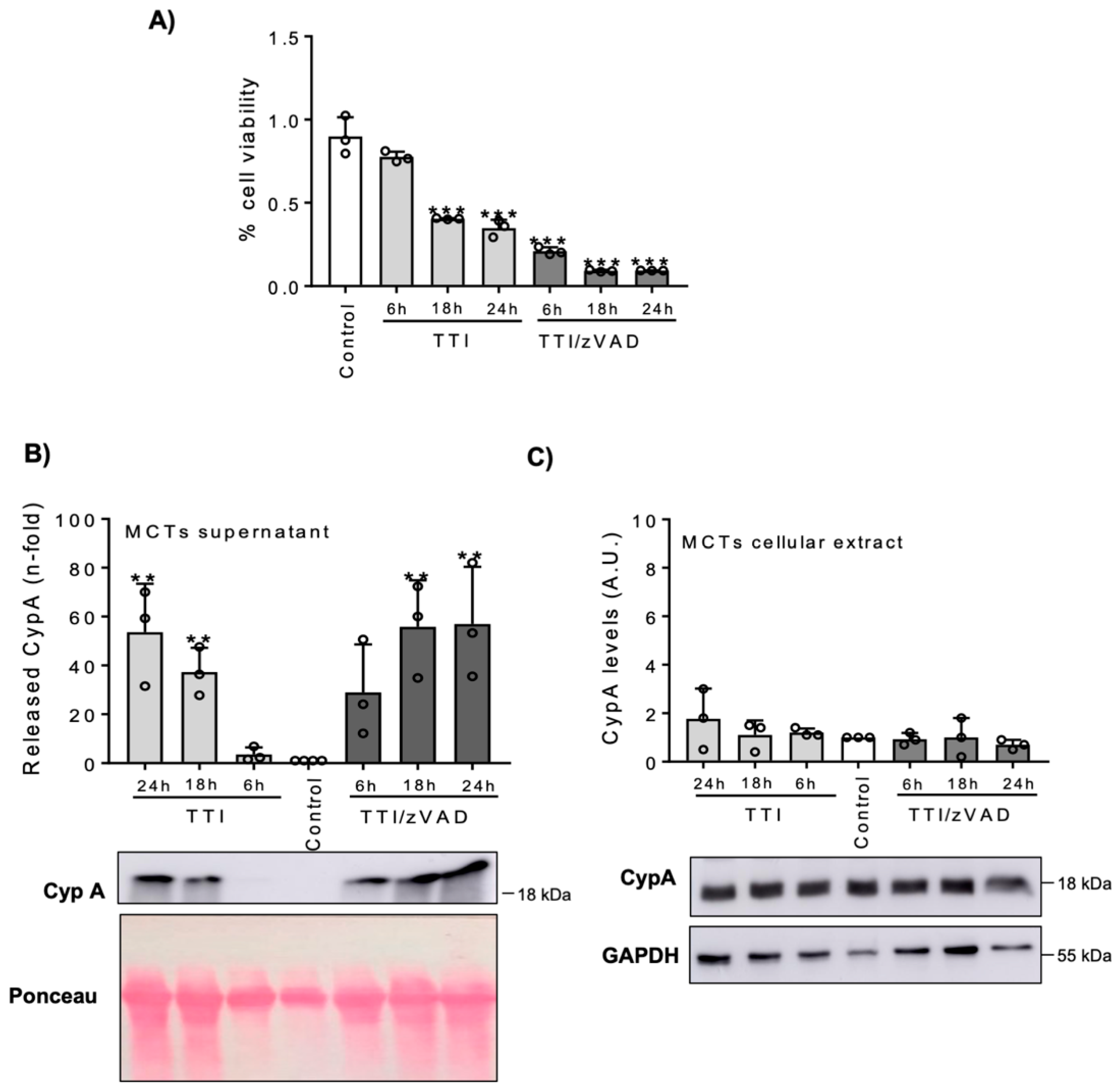 Biomedicines 09 00217 g004