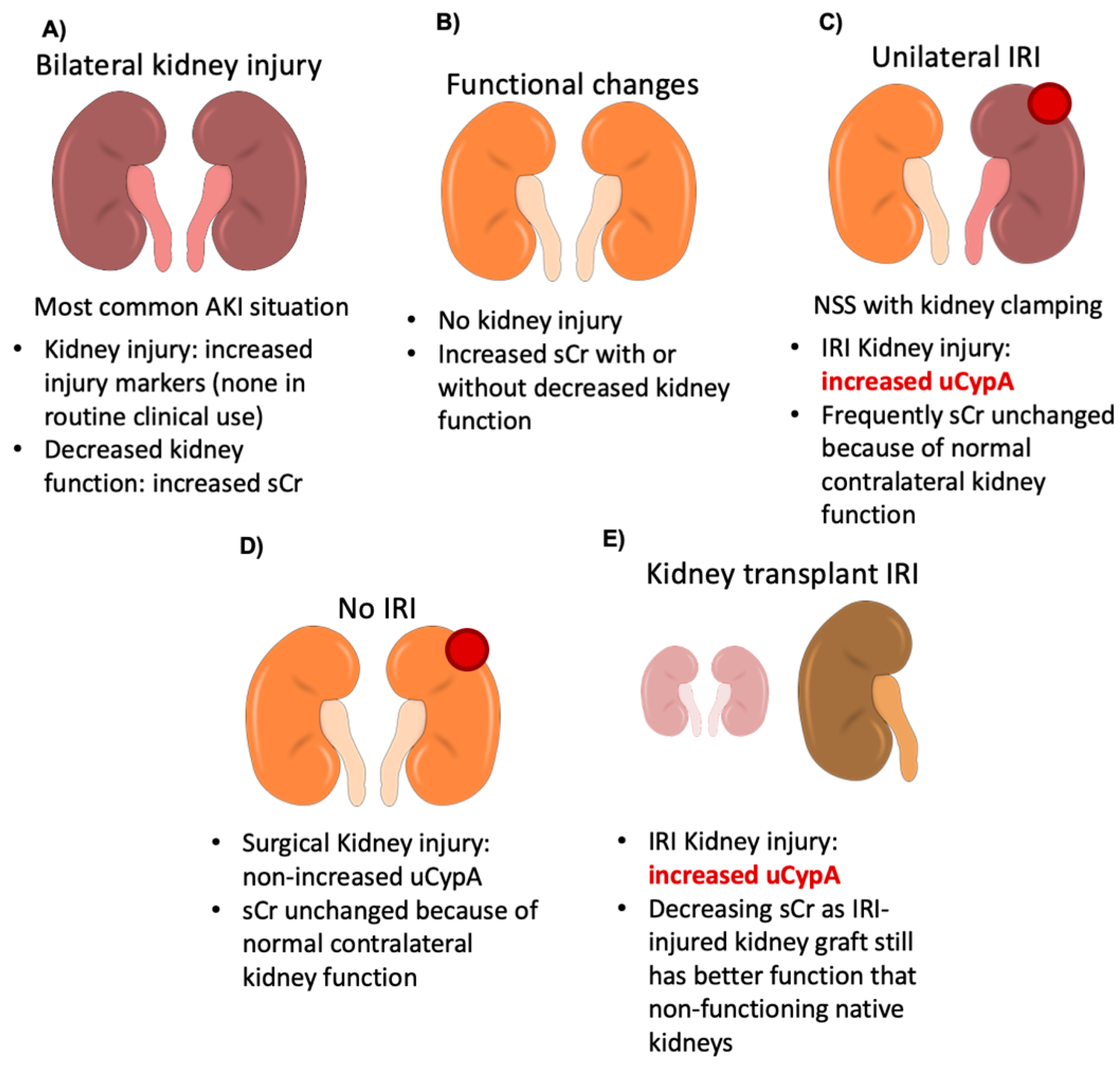 Biomedicines 09 00217 g009