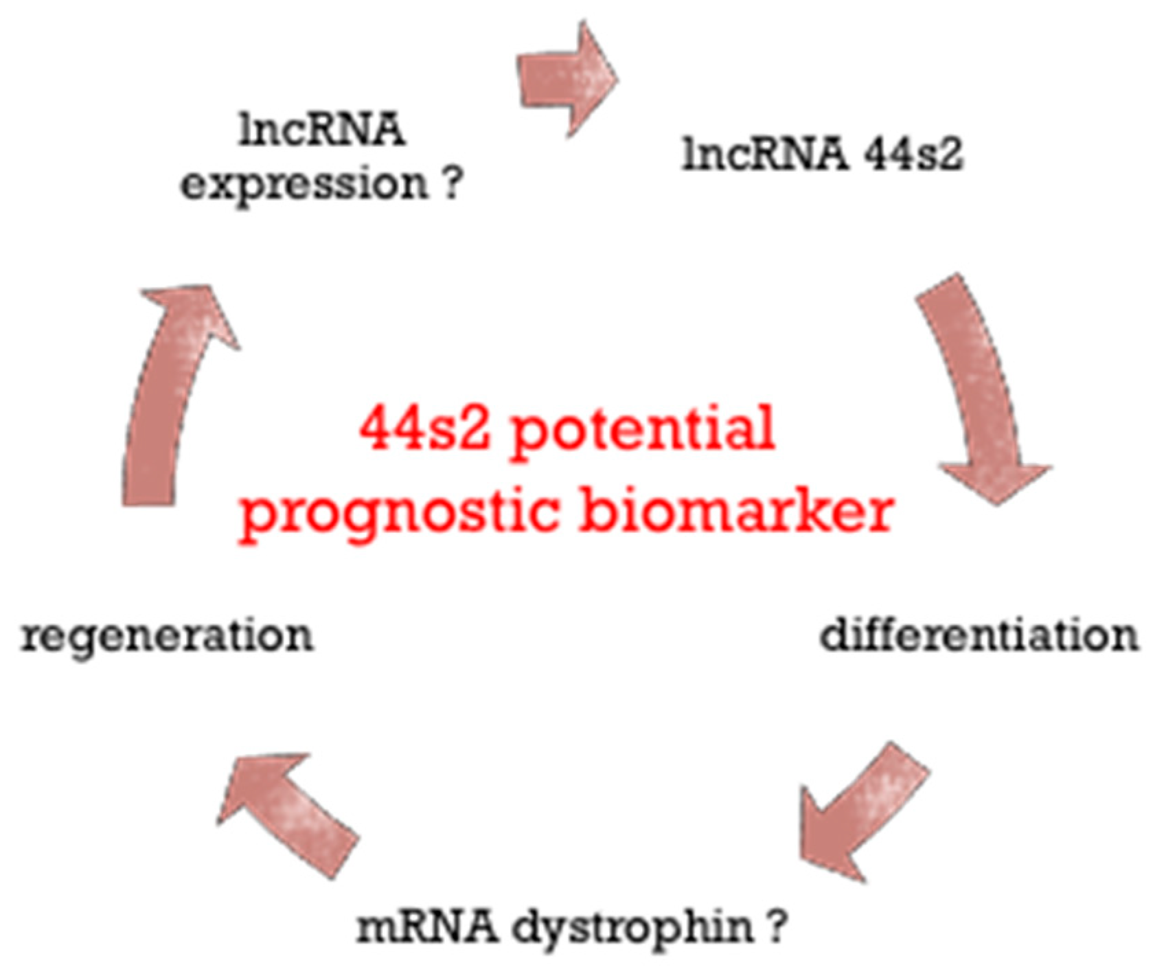 Biomedicines 09 00219 g007 Biomedicines 09 00219 g007