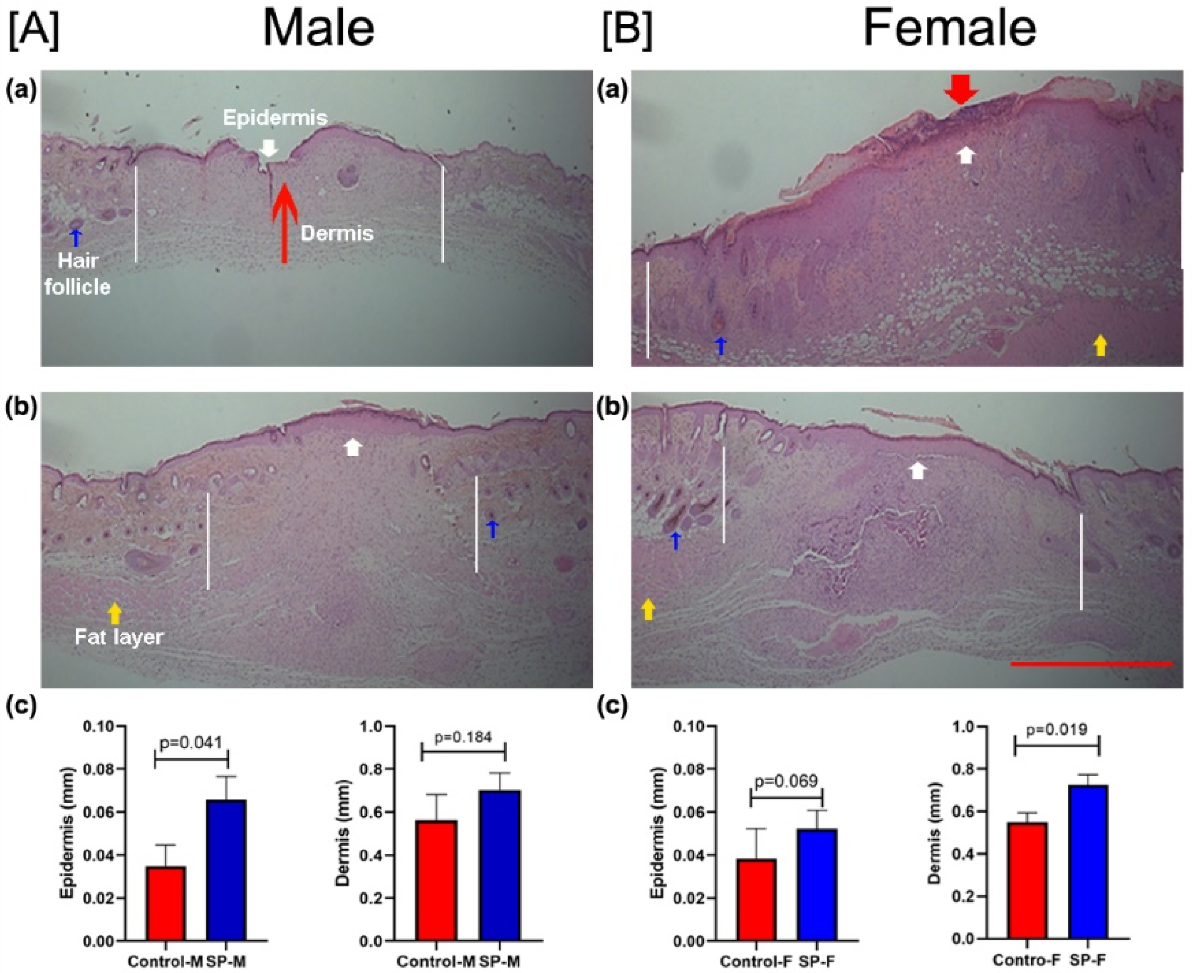 Biomedicines 09 00222 g005 Biomedicines 09 00222 g005