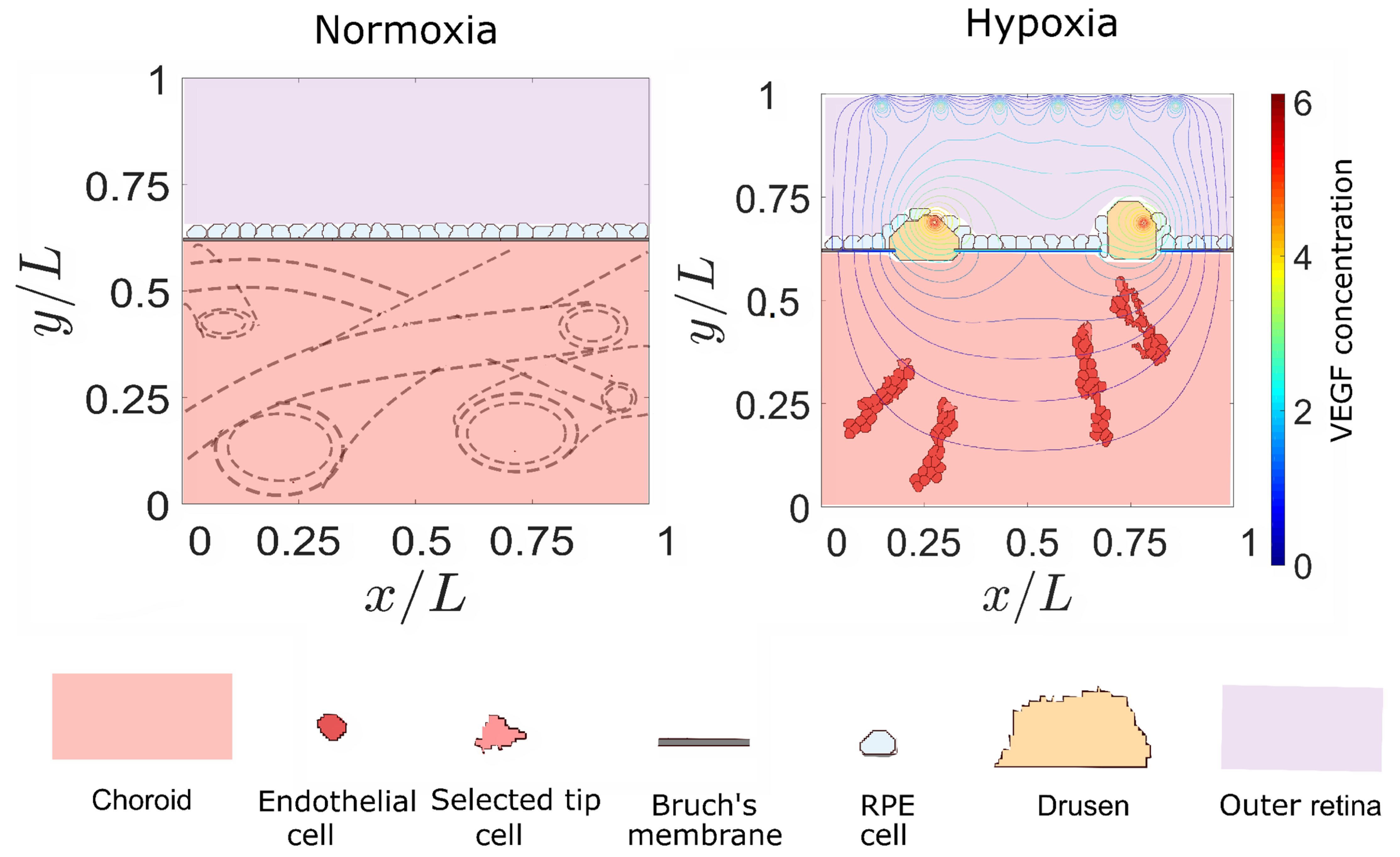 Biomedicines 09 00224 g001 Biomedicines 09 00224 g001
