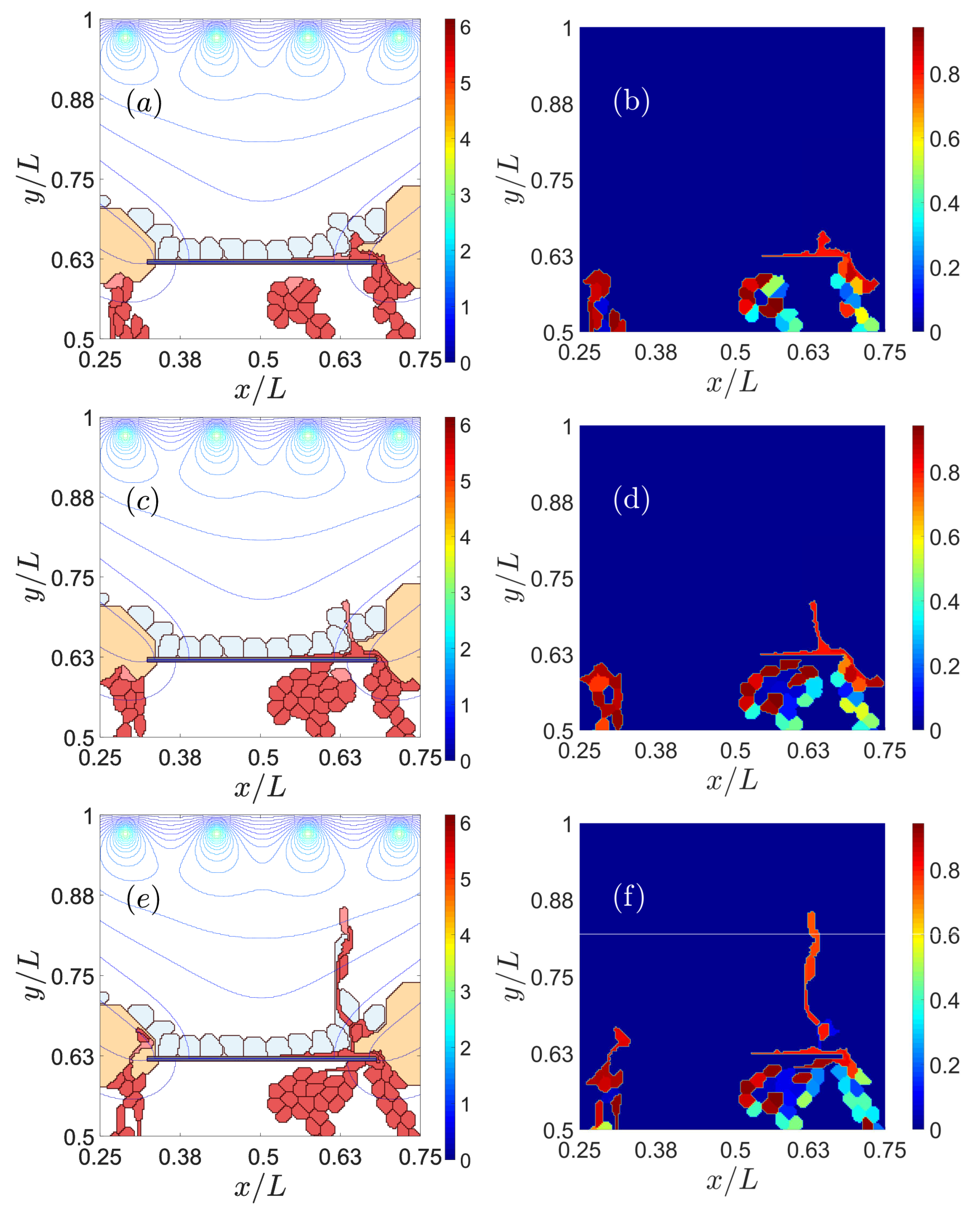 Biomedicines 09 00224 g006 Biomedicines 09 00224 g006
