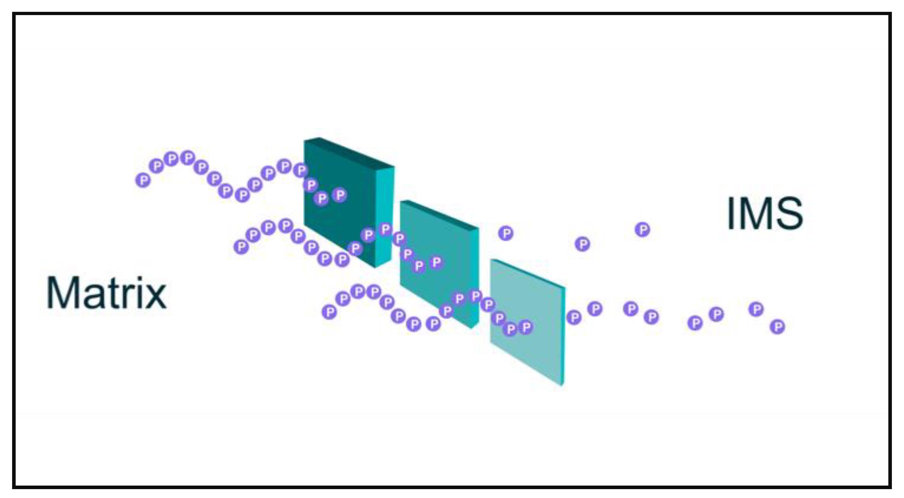 Biomedicines 09 00225 g001 Biomedicines 09 00225 g001
