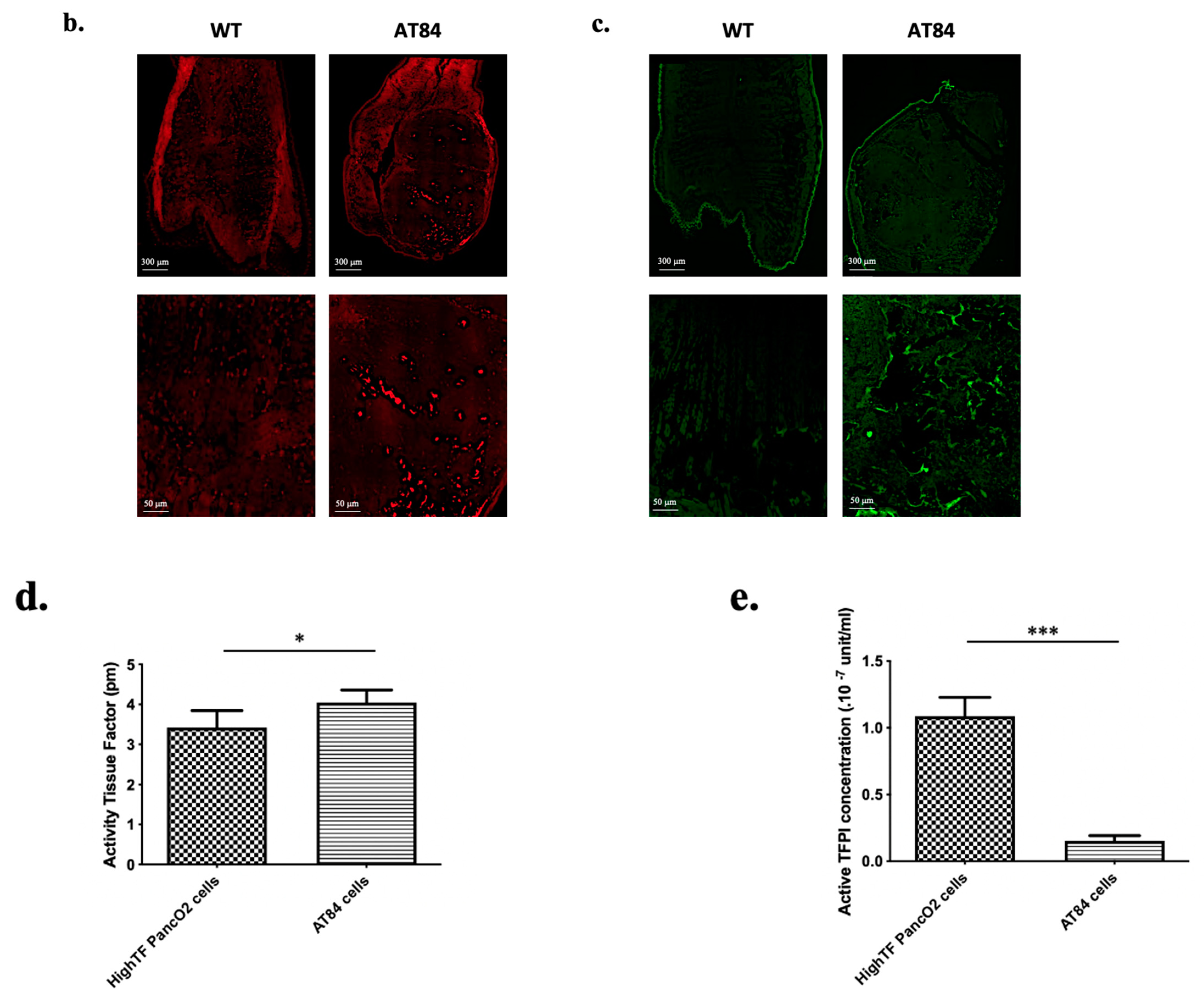 Biomedicines 09 00228 g002b Biomedicines 09 00228 g002b