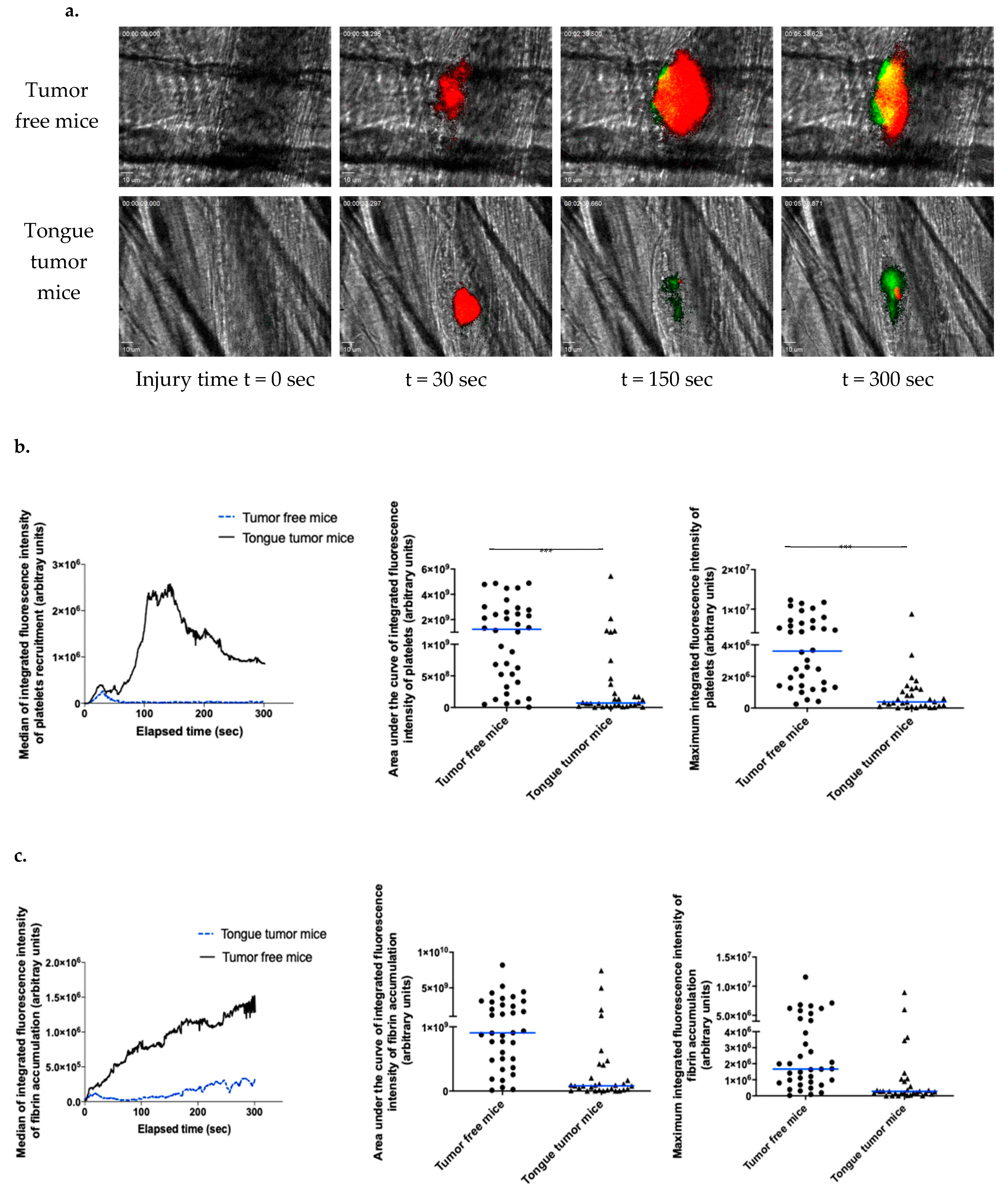 Biomedicines 09 00228 g003 Biomedicines 09 00228 g003