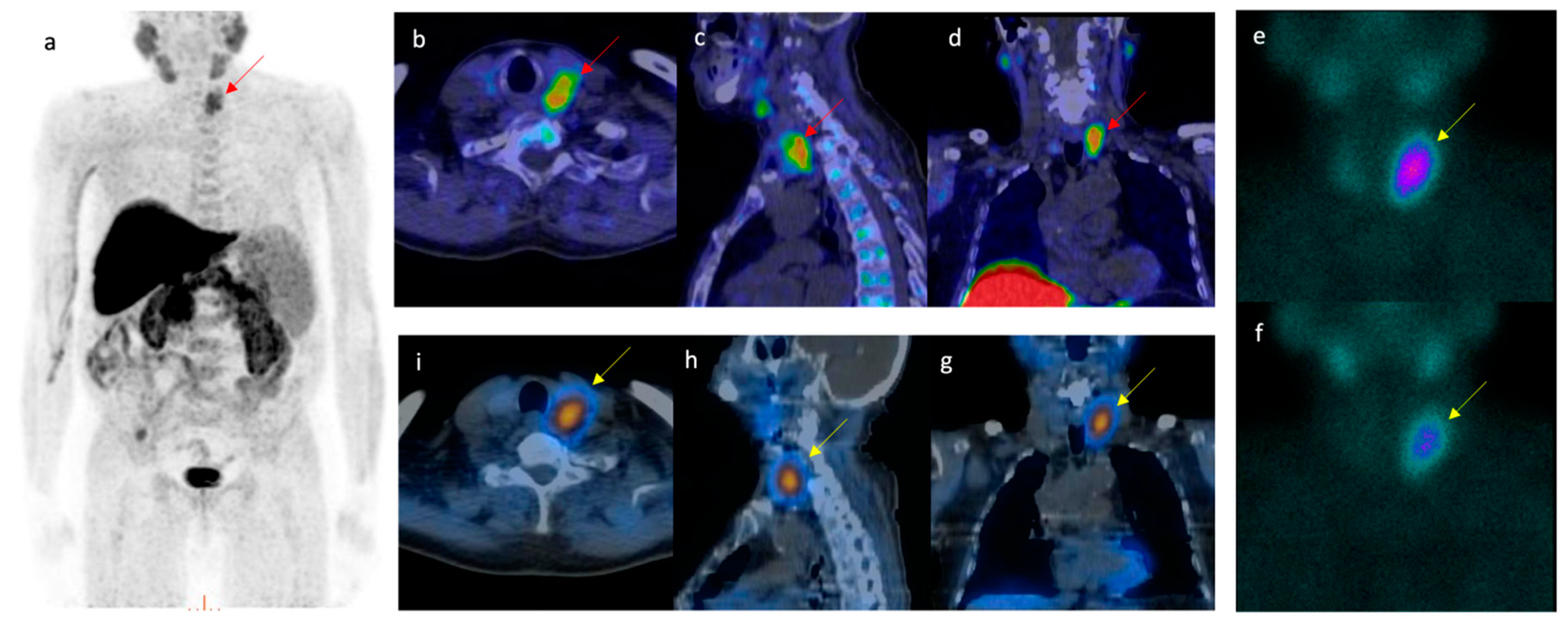 Biomedicines 09 00231 g002