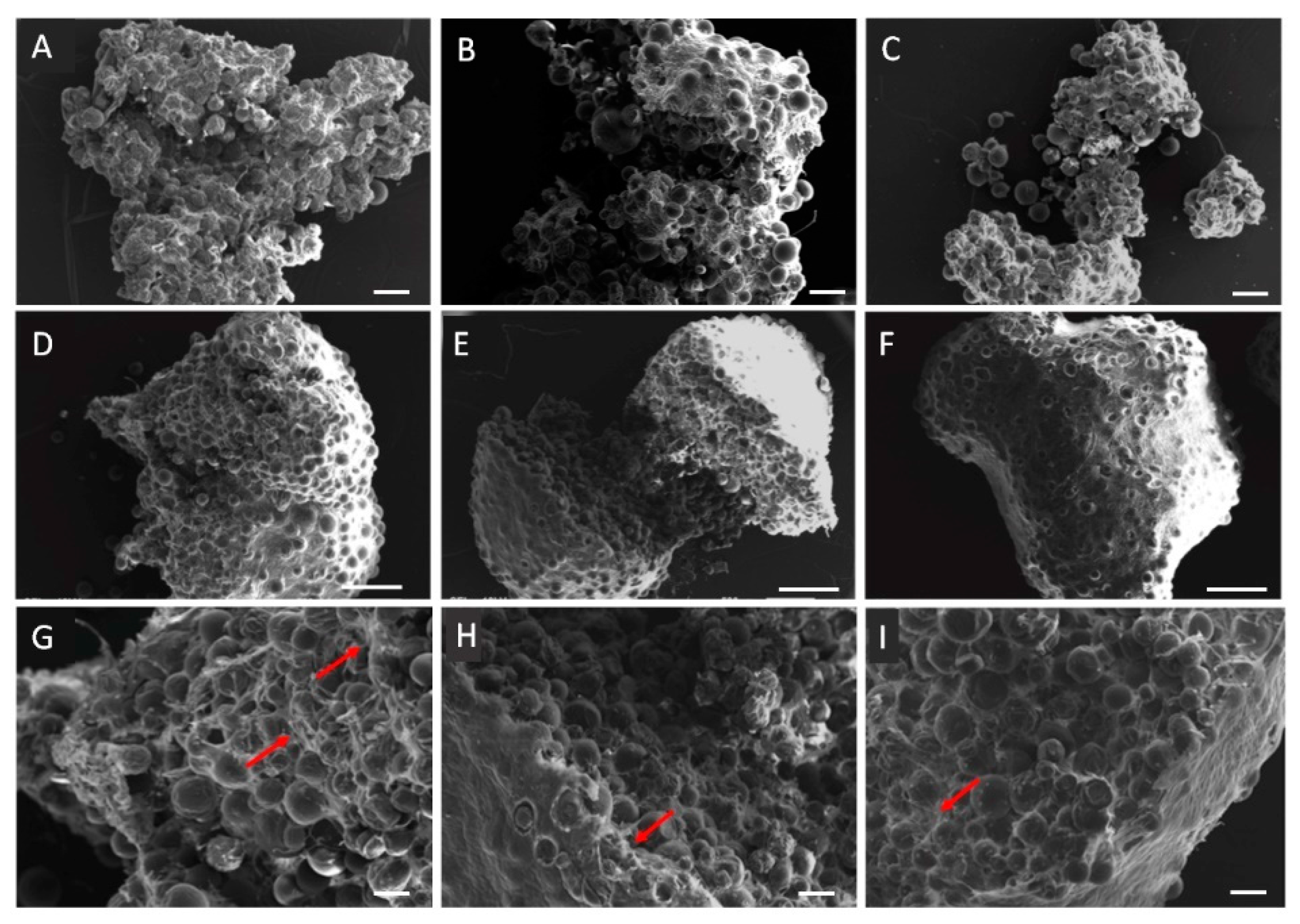 Biomedicines 09 00232 g0a1 Biomedicines 09 00232 g0a1