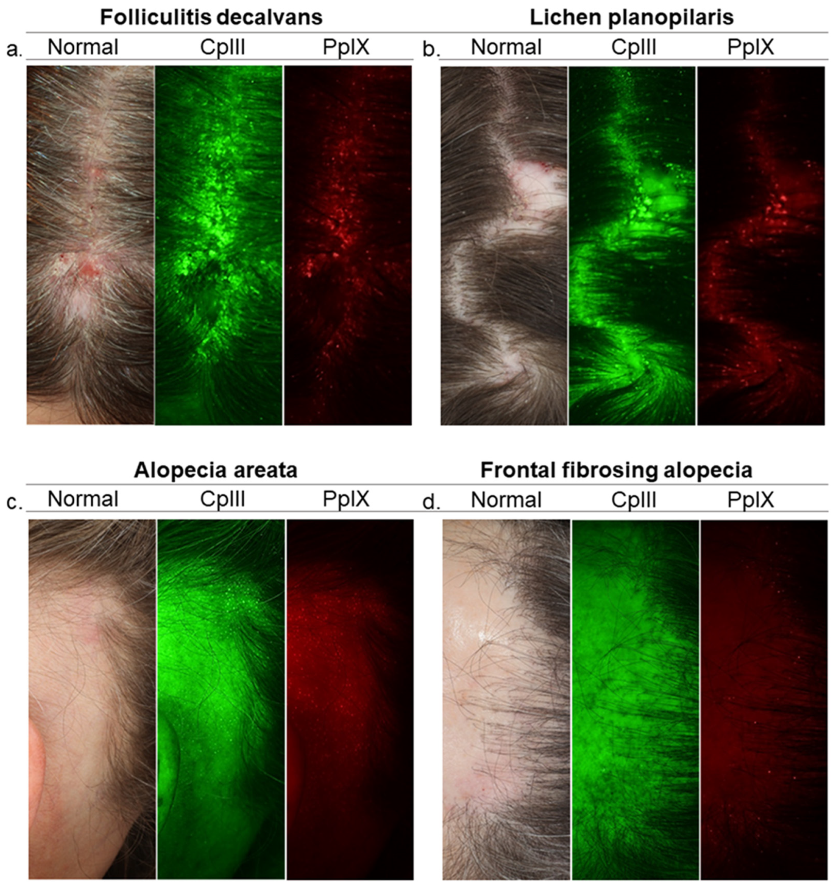 Biomedicines 09 00236 g001