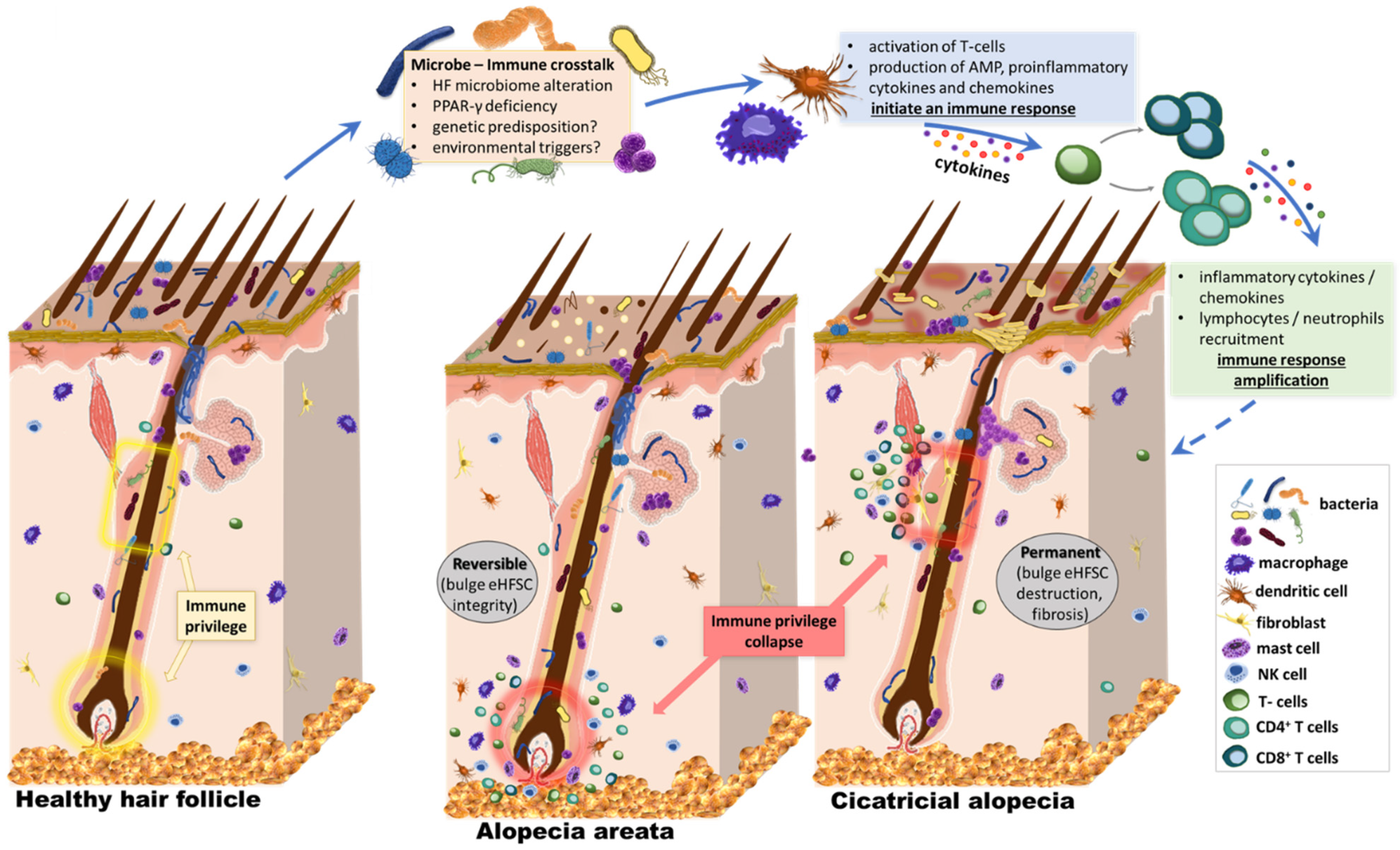 Biomedicines 09 00236 g002