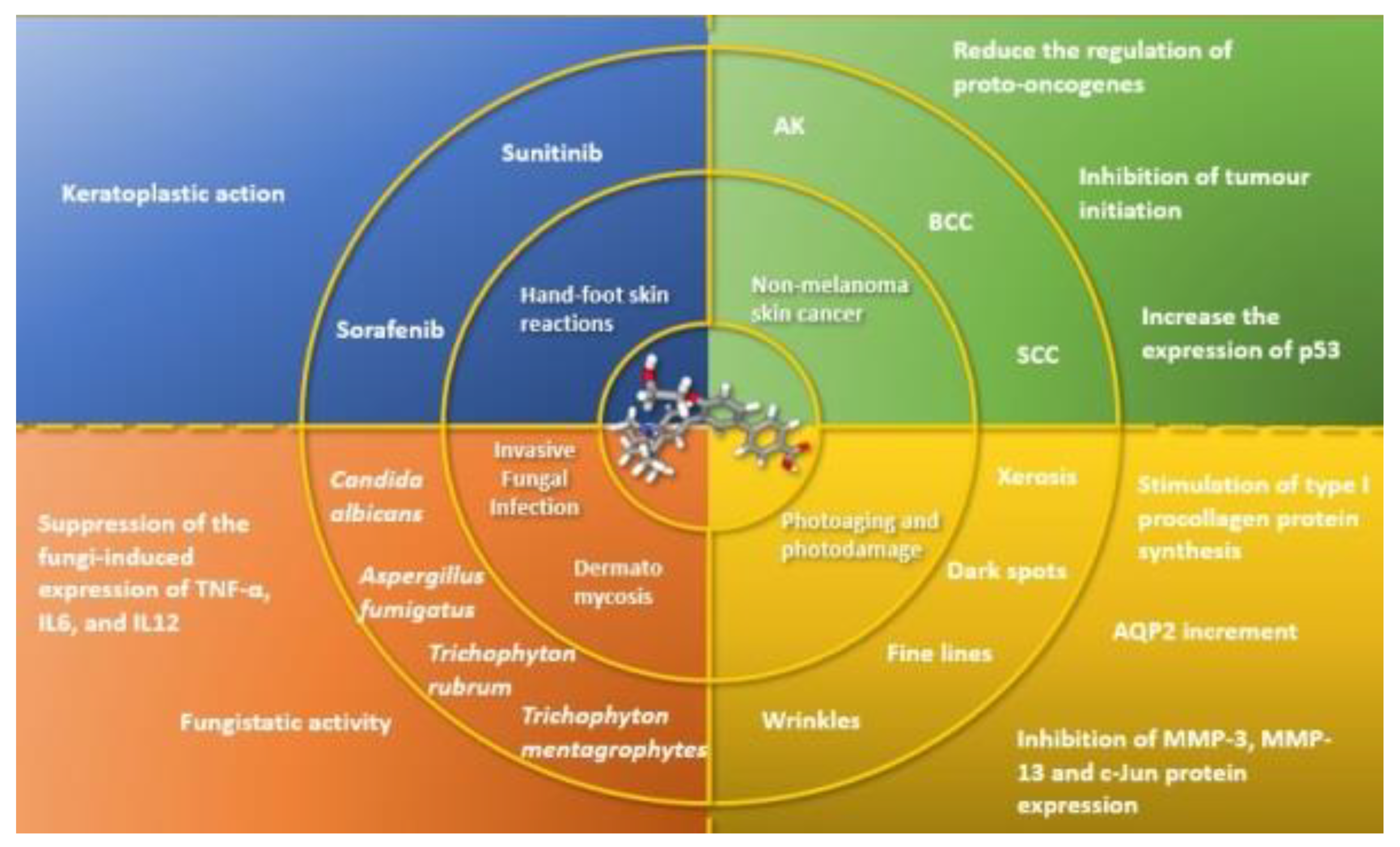Biomedicines 09 00237 g003 Biomedicines 09 00237 g003