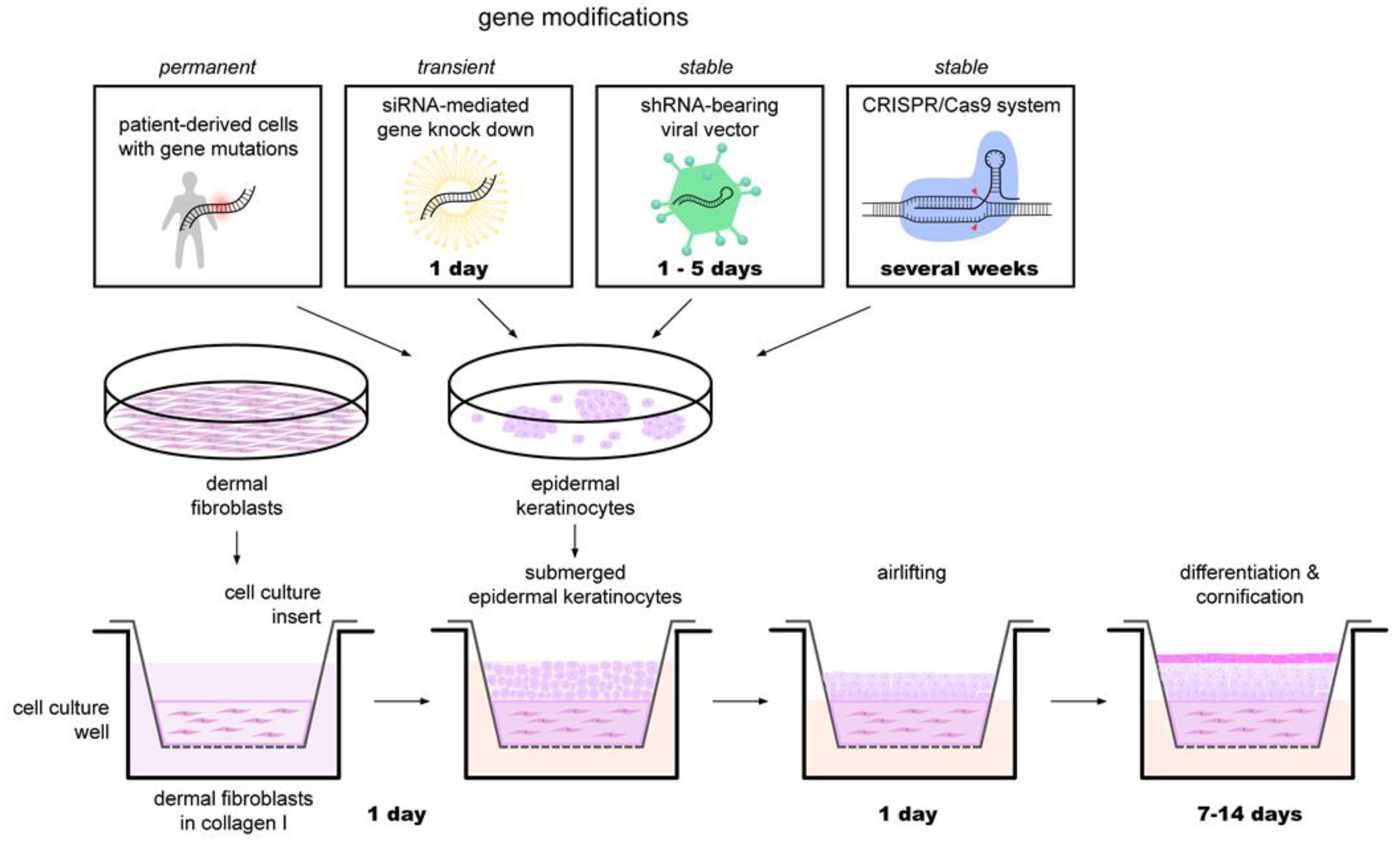 Biomedicines 09 00238 g002 Biomedicines 09 00238 g002