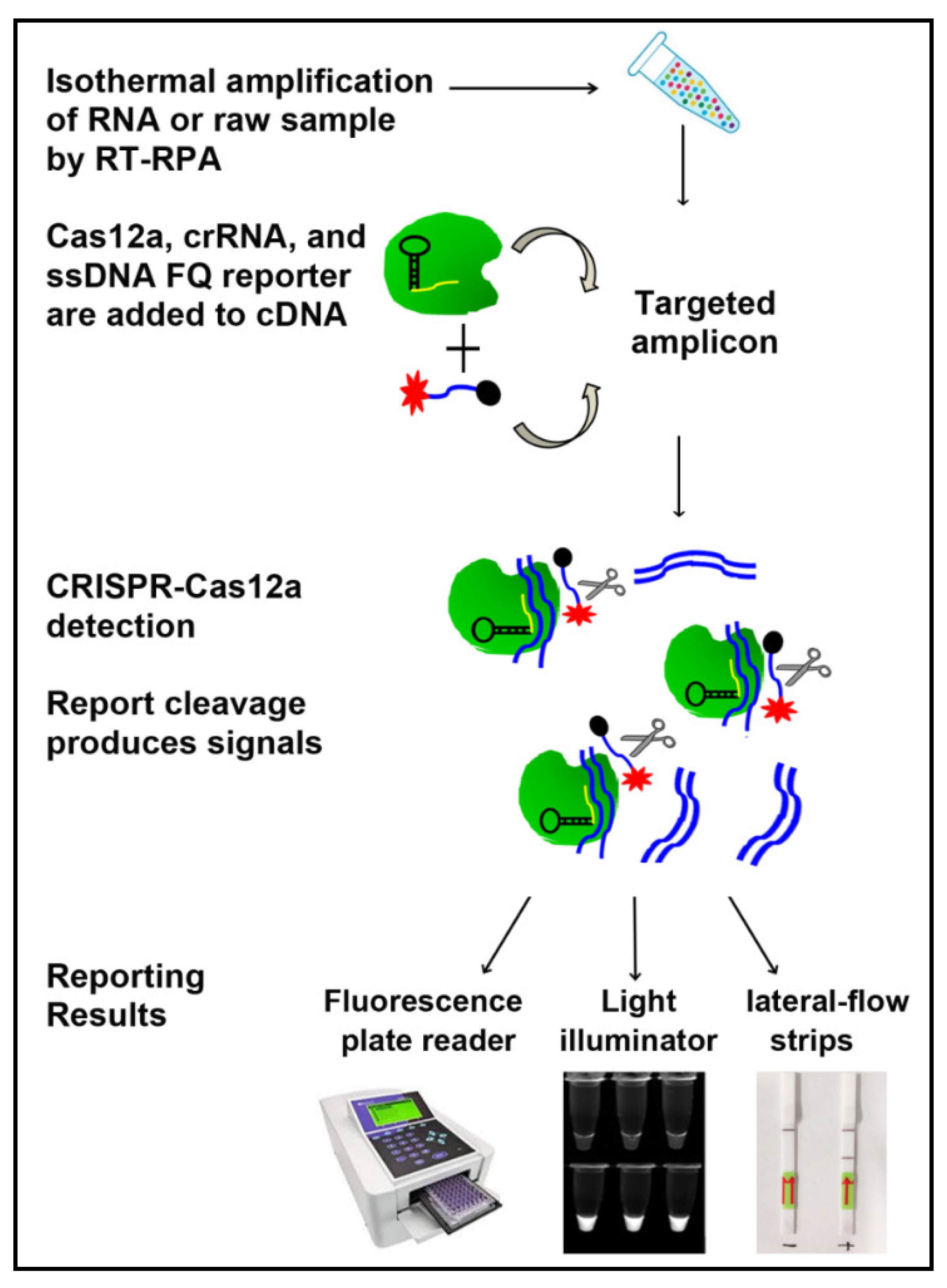Biomedicines 09 00239 g002 Biomedicines 09 00239 g002
