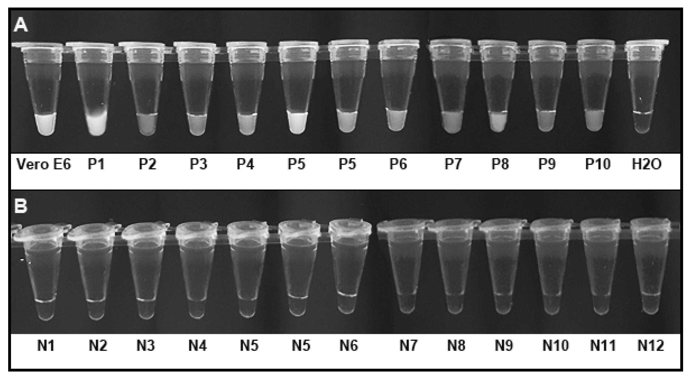 Biomedicines 09 00239 g007 Biomedicines 09 00239 g007