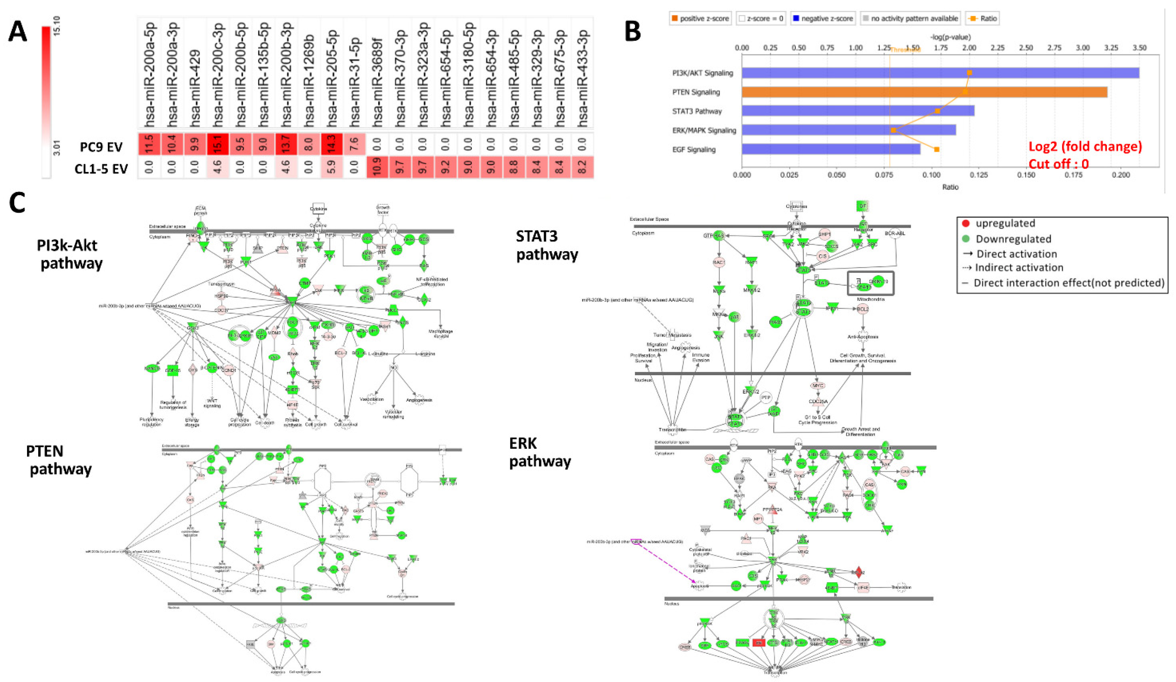 Biomedicines 09 00243 g005