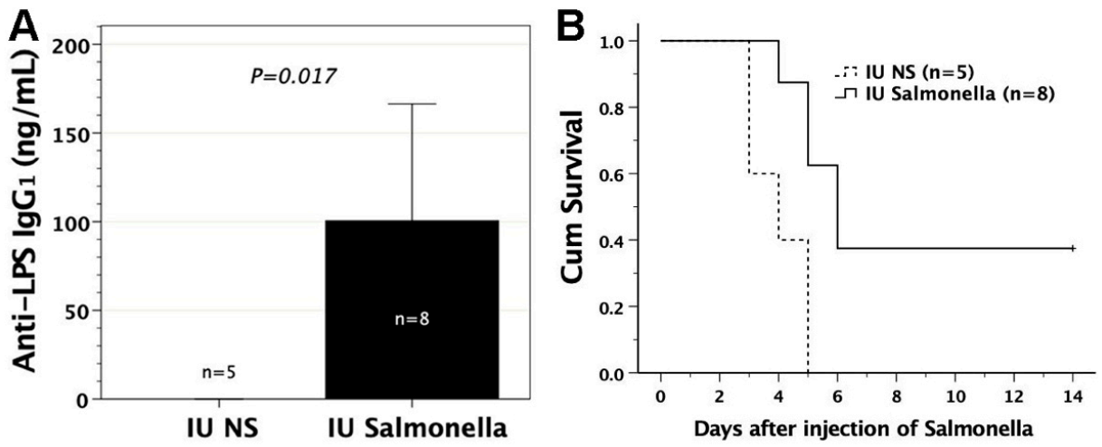 Biomedicines 09 00245 g005 Biomedicines 09 00245 g005