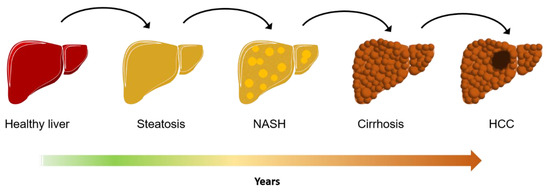 Biomedicines 09 00248 g001 550